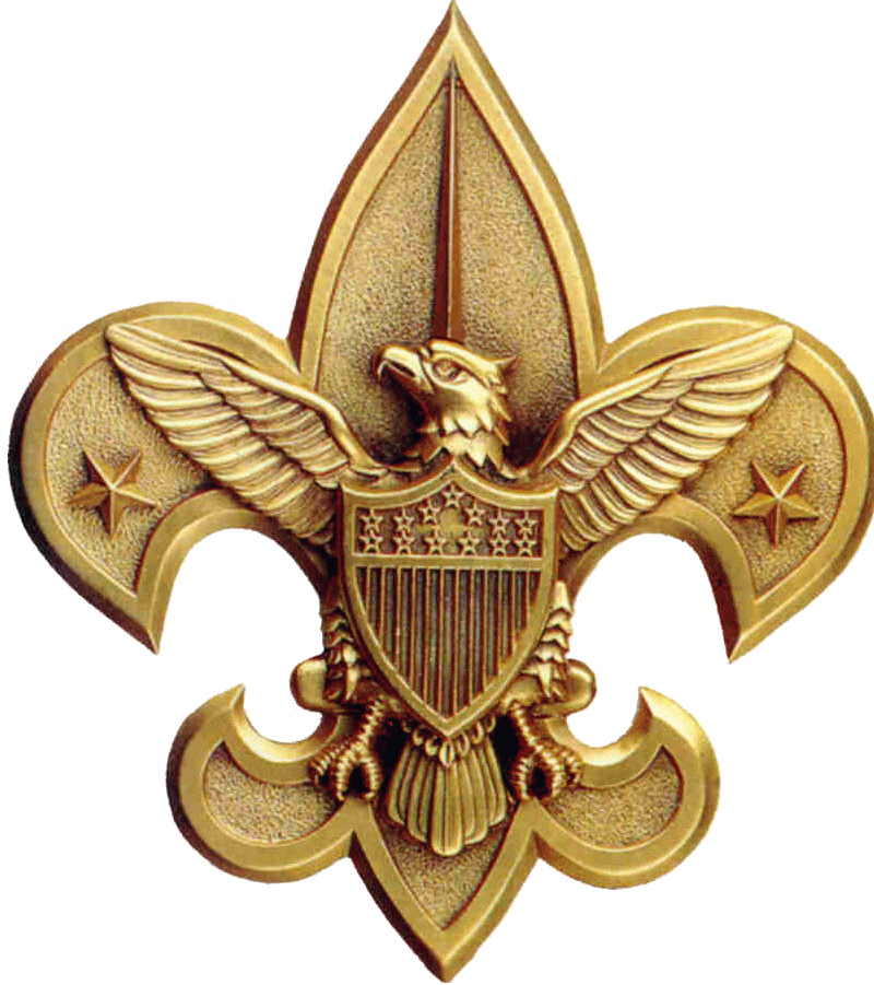 Eagle Scout Wallpaper Free Wallpaper Download - Boy Scout Thank You - HD Wallpaper 