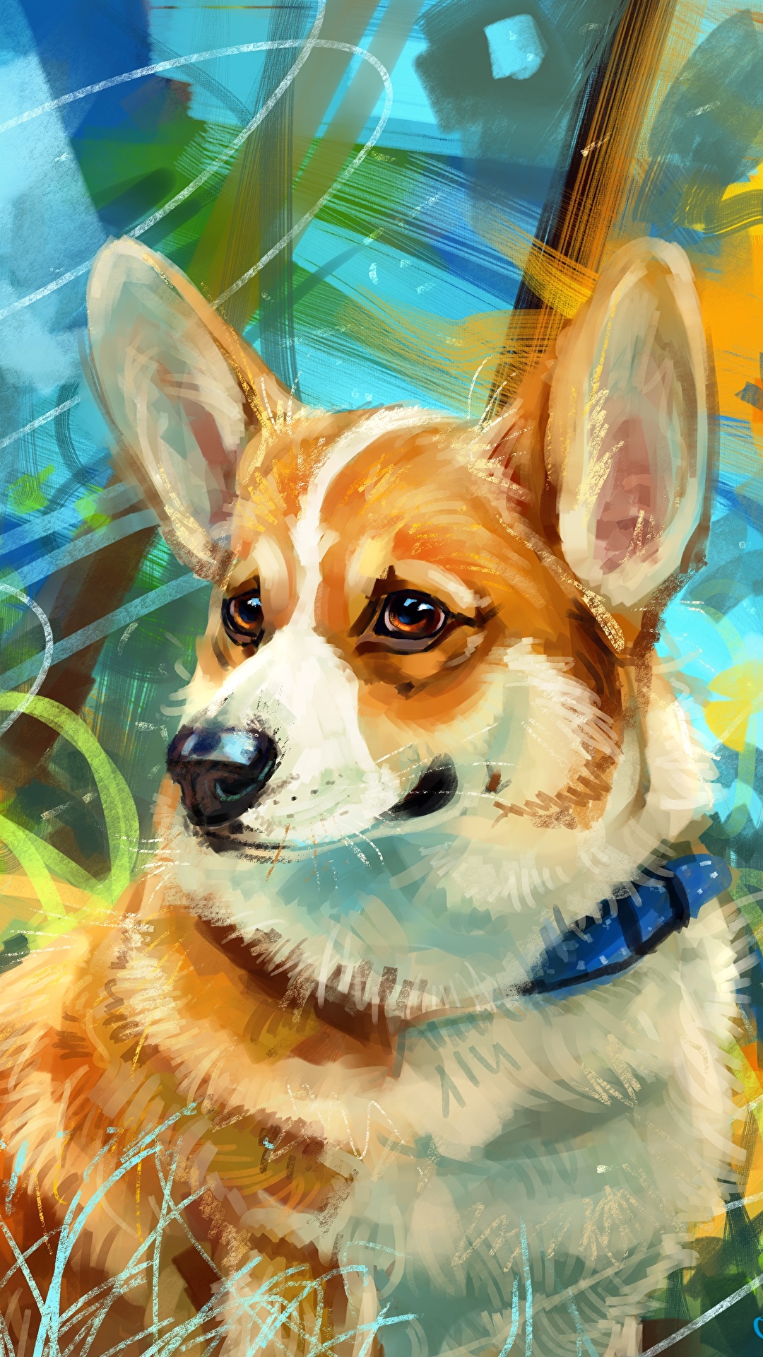 Welsh Corgi - HD Wallpaper 