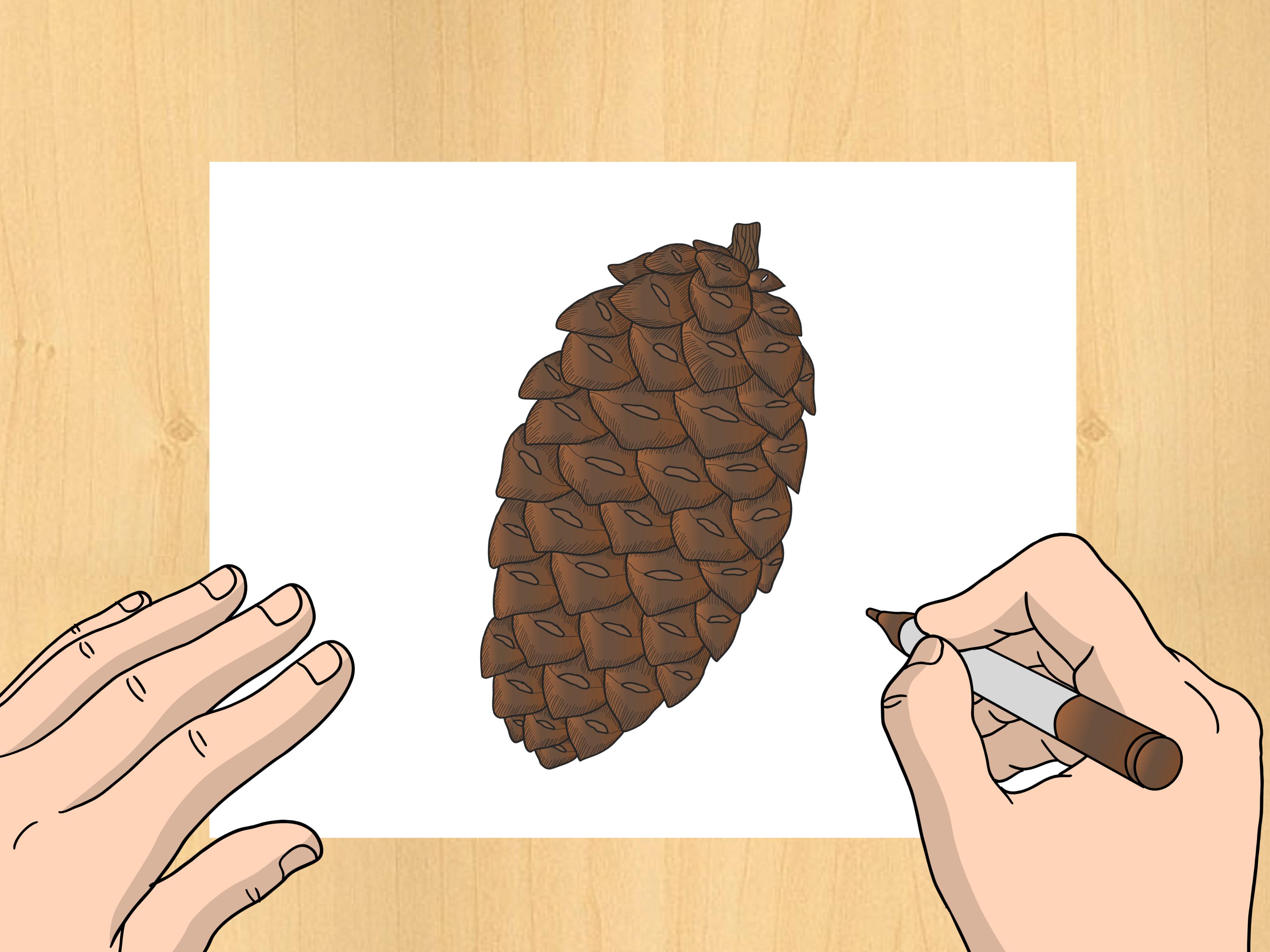 Image Titled Draw A Pinecone Step - Drawing Of Pine Cone - HD Wallpaper 