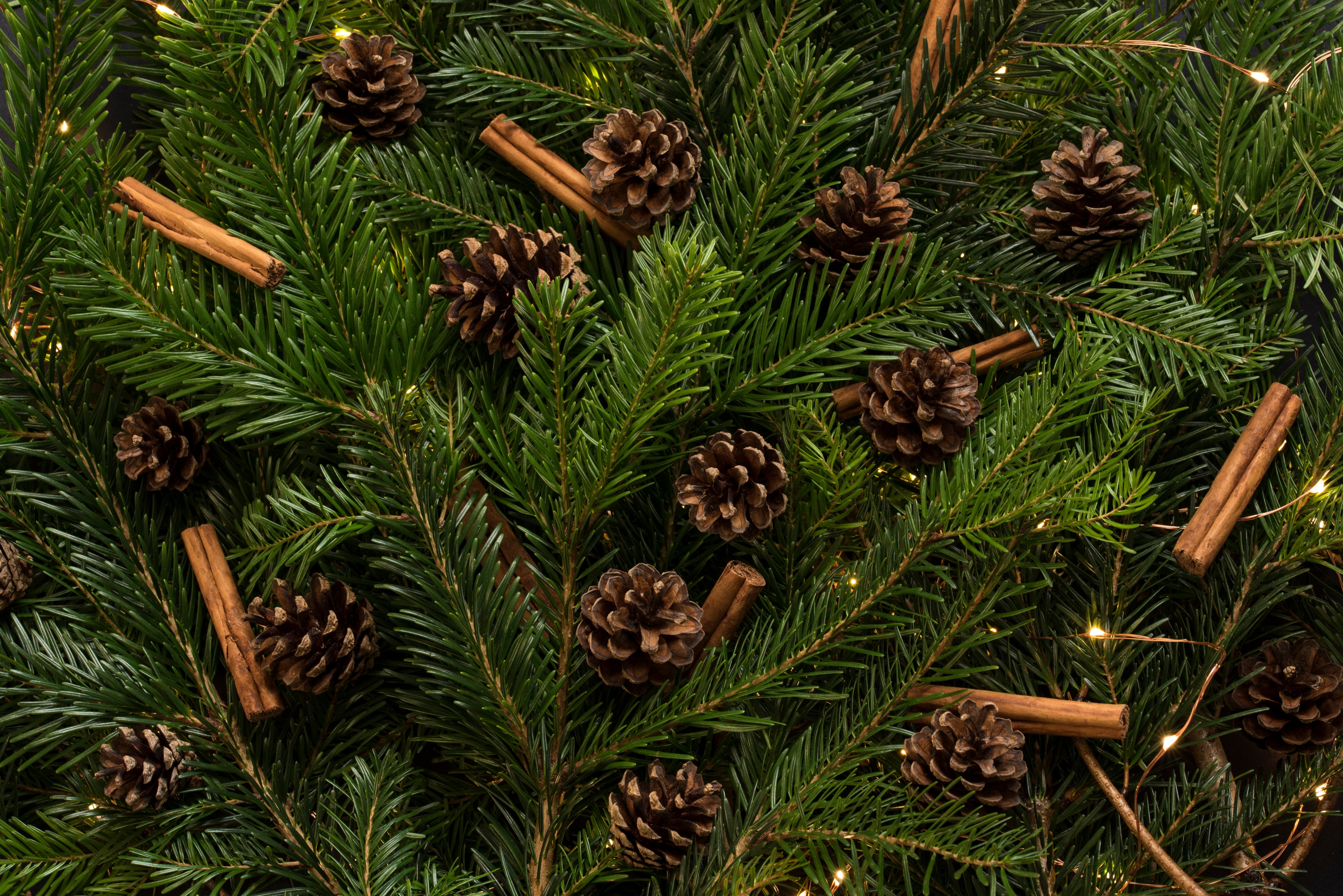Hanging Of The Greens - HD Wallpaper 