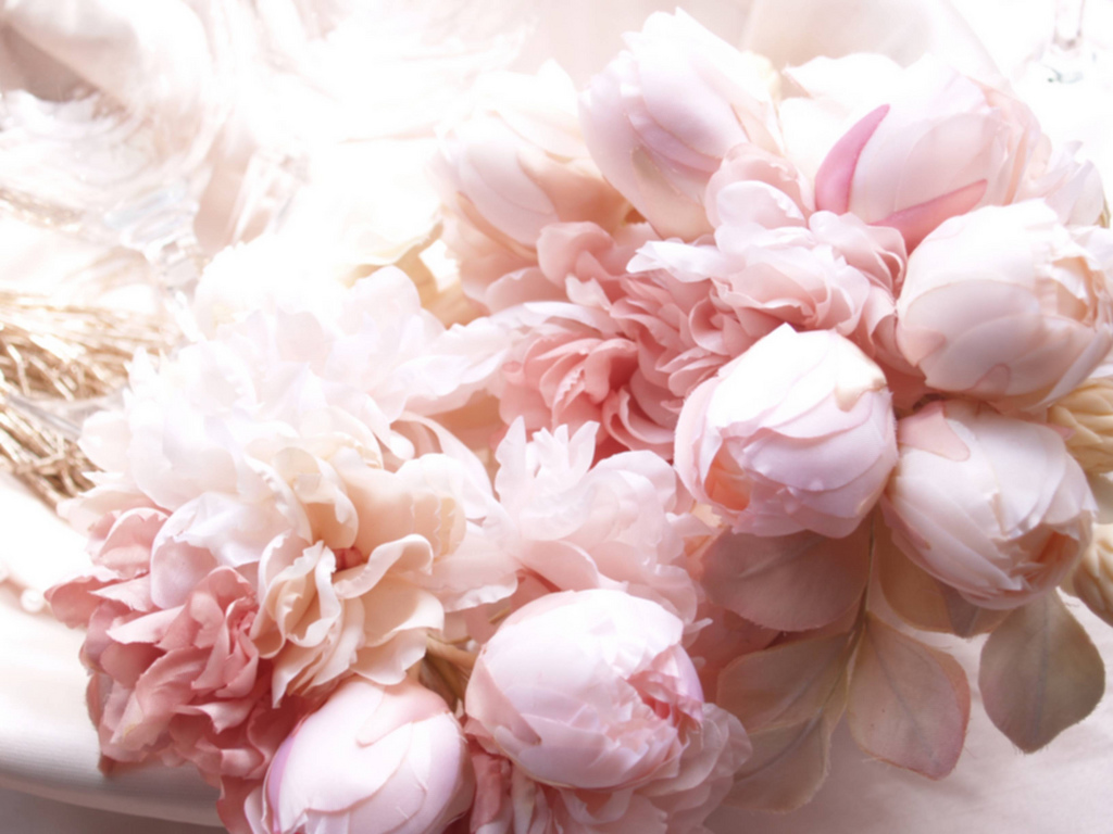 Peonies Wallpaper - Peony Desktop Background - HD Wallpaper 