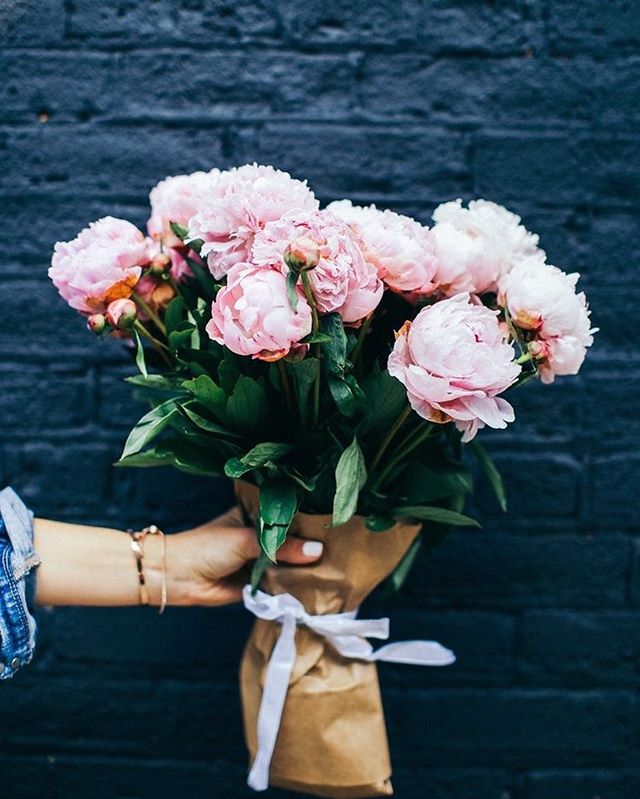 Pink Peonies 🤩 Simple And Pretty - Congratulations Congrats New Job - HD Wallpaper 