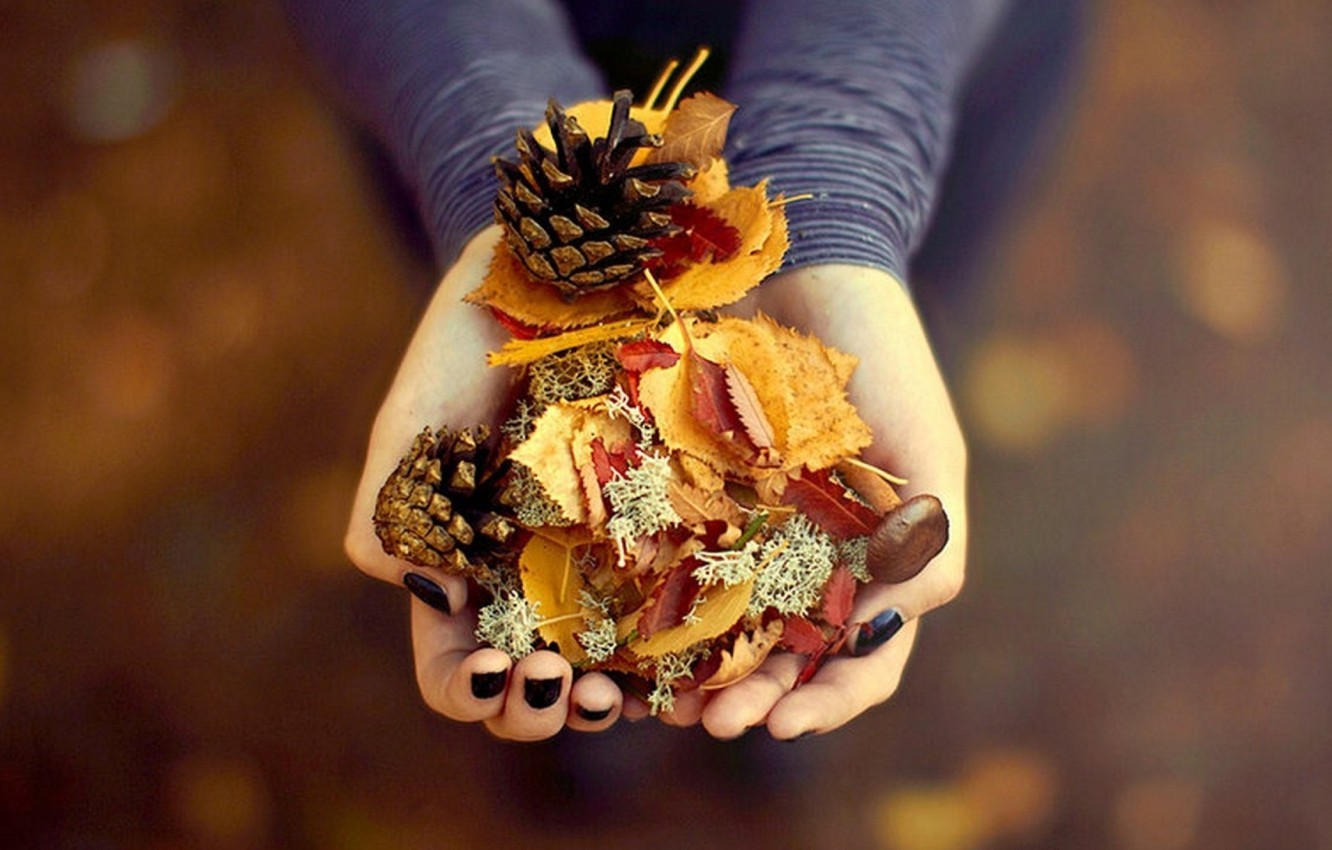 Photo Wallpaper Photography, Beautiful, Autumn, Leaves, - Осень Листья В Руках - HD Wallpaper 