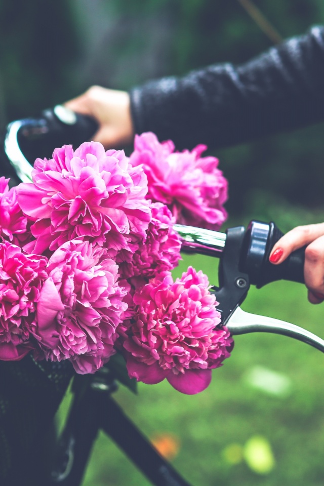 Good Birthday Flowers 640x960 Wallpaper teahub.io