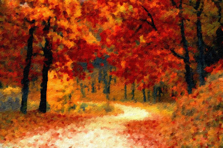 Bellevue Botanical Garden Fall Colors - HD Wallpaper 