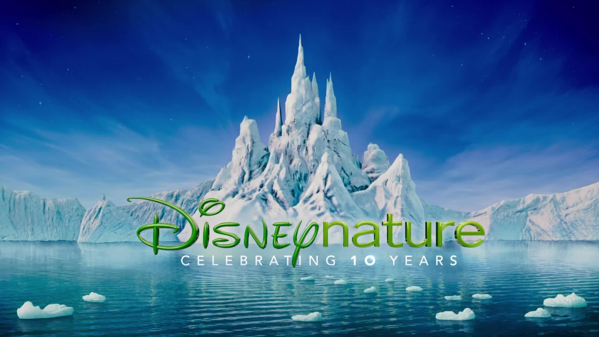 Disney Nature Ice Castle - HD Wallpaper 