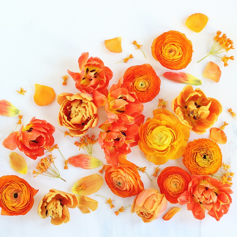 Artificial Flower 800x800 Wallpaper teahub.io