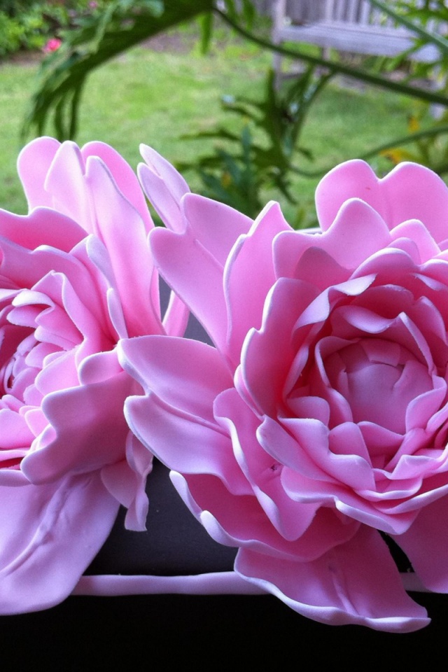 Garden Roses - HD Wallpaper 