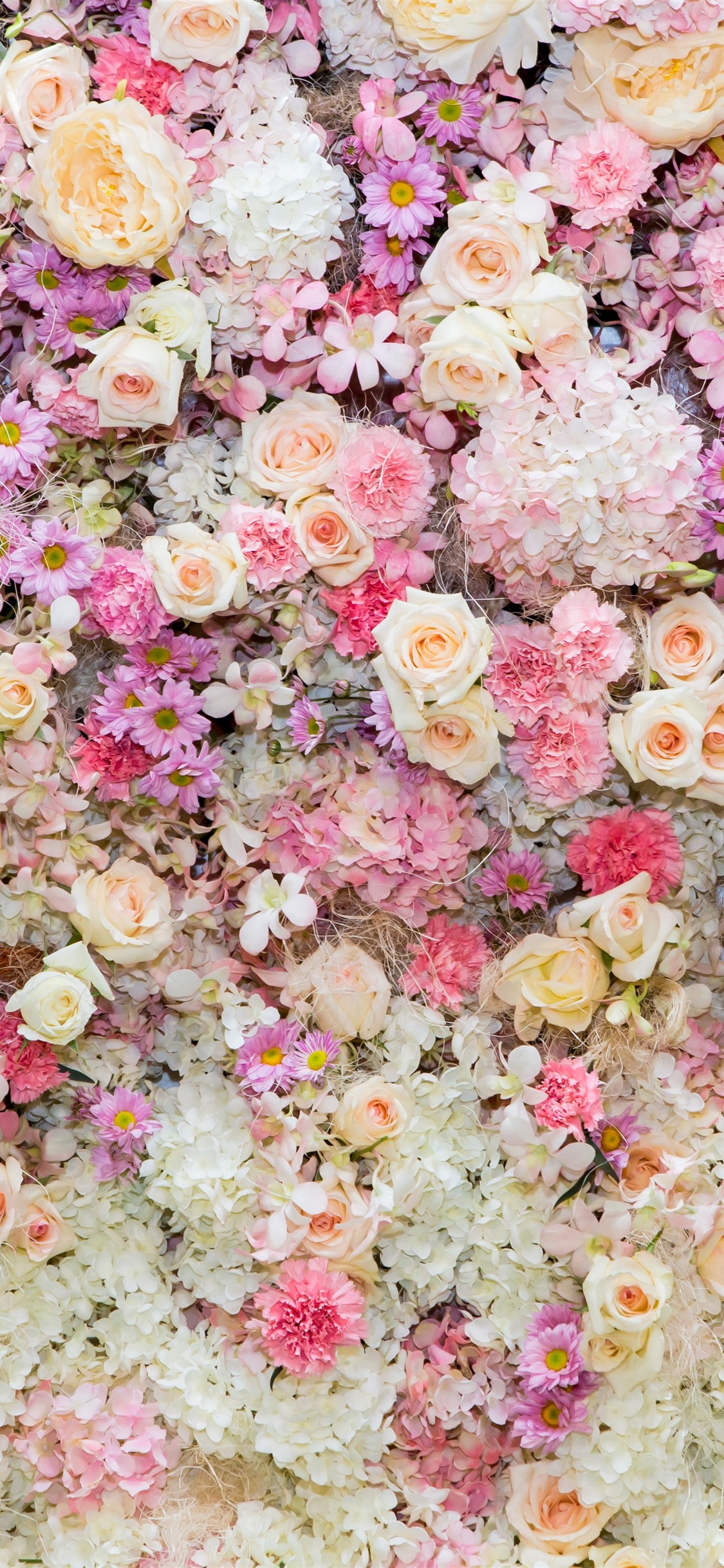 Iphone Wallpaper Beautiful Flowers Background, Pink - Flower Wall Wallpaper Hd - HD Wallpaper 