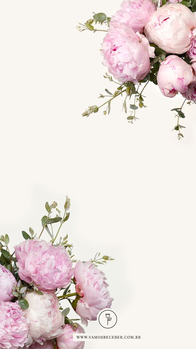 Blush Pink Flower Background - HD Wallpaper 