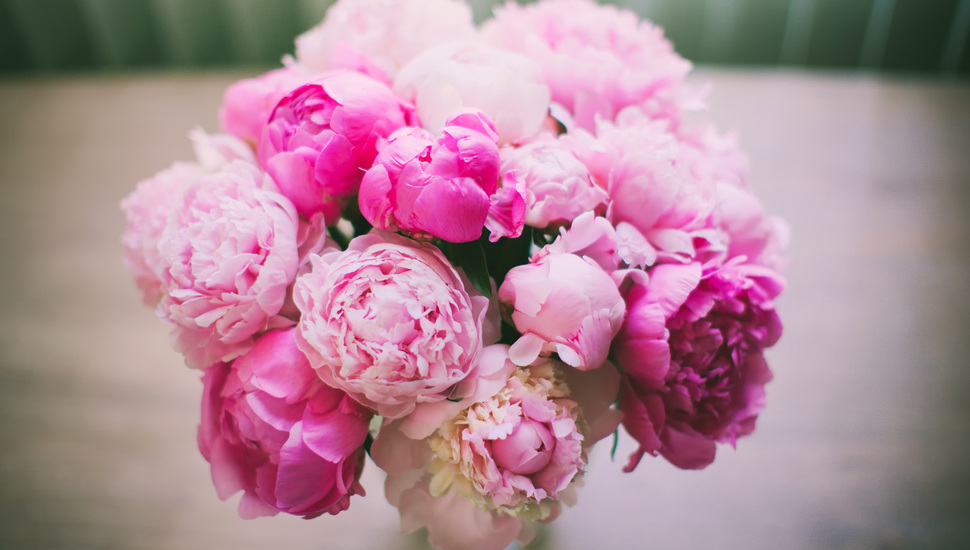 Peonies, Flowers, Petals, Pink, Bouquet Desktop Background - Peonies Desktop Background - HD Wallpaper 