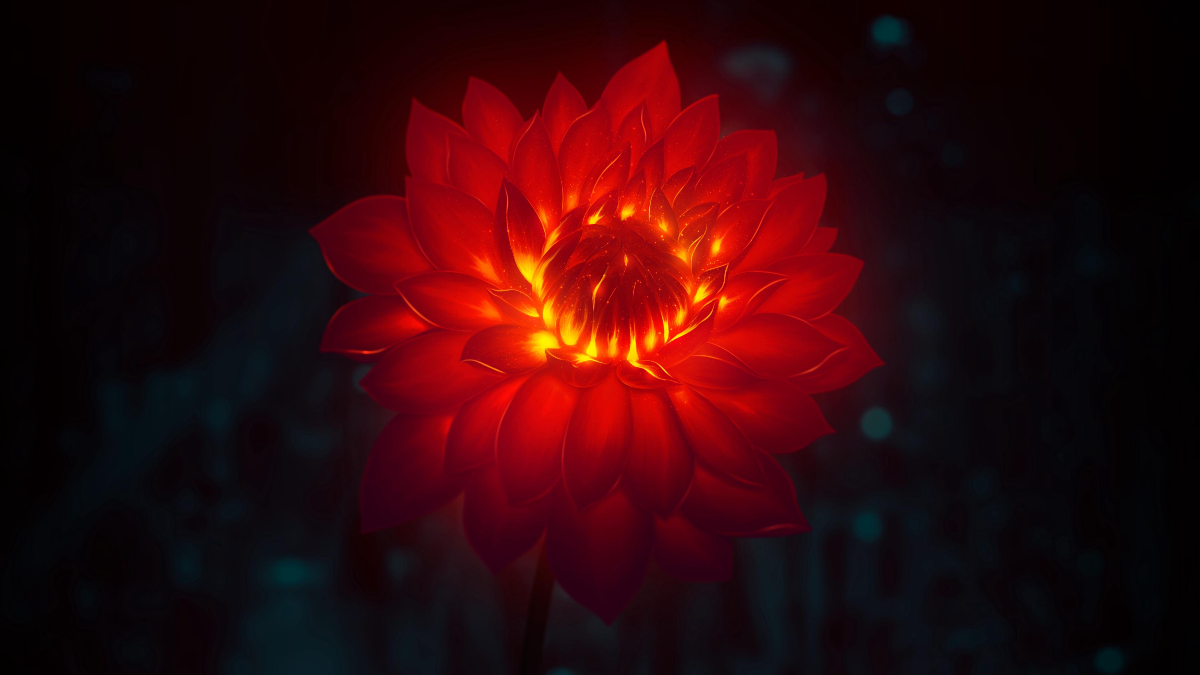 Peony, Flower, Red, Art - Close-up - HD Wallpaper 