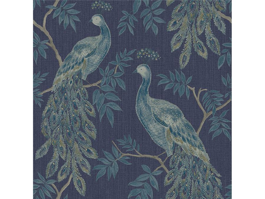 Tapete Pfau - HD Wallpaper 