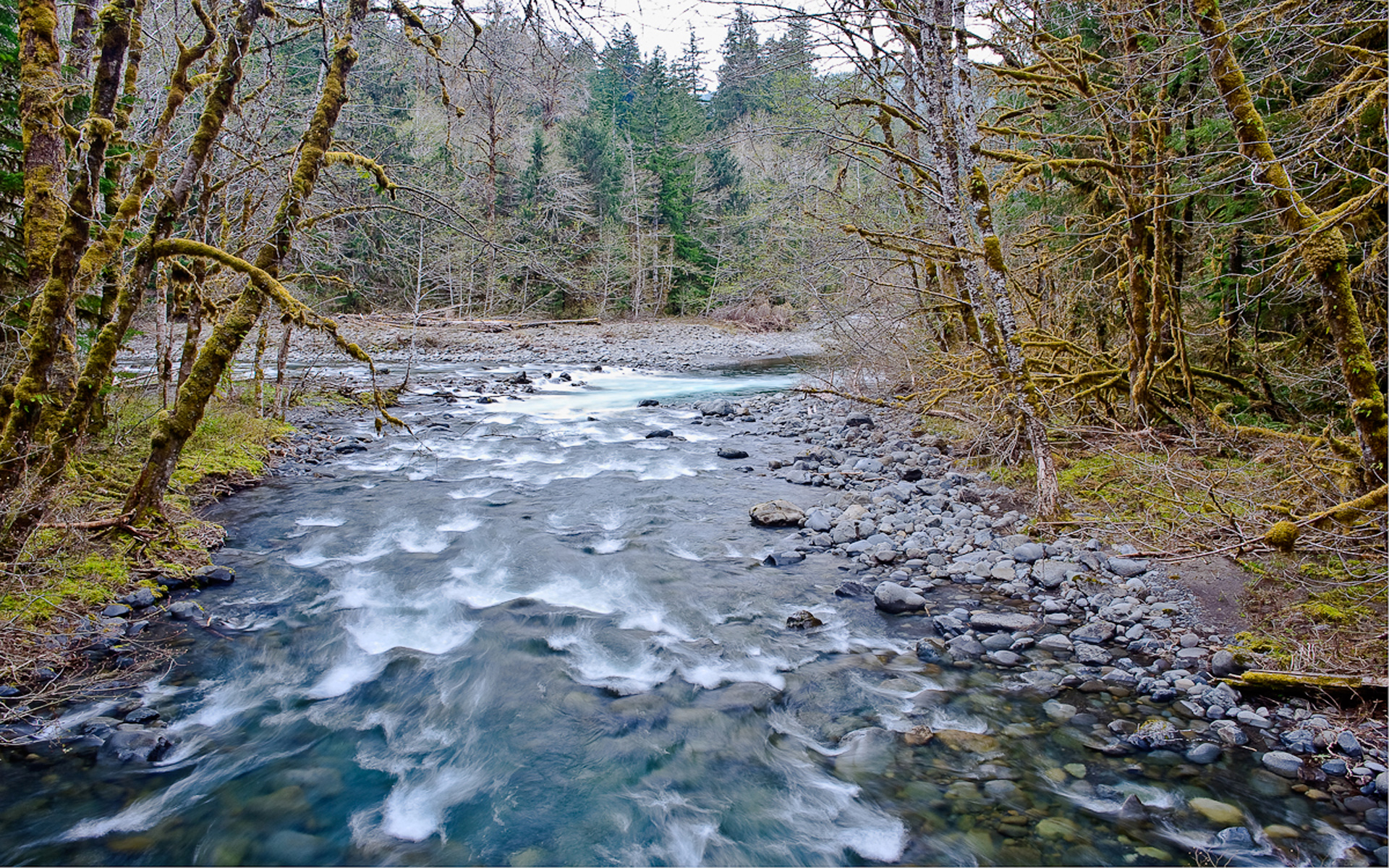 Olympic National Park - 1920x1200 Wallpaper - teahub.io