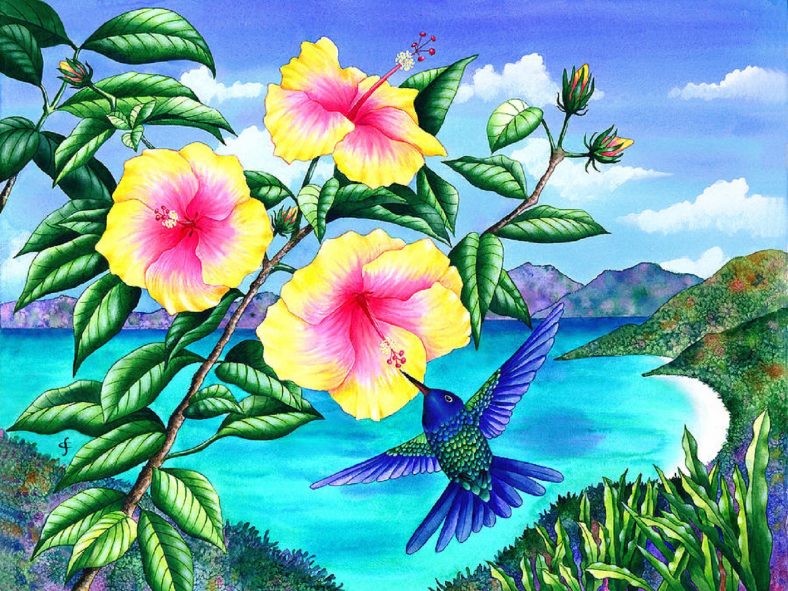 Dibujos De Flores Con Oleo - HD Wallpaper 
