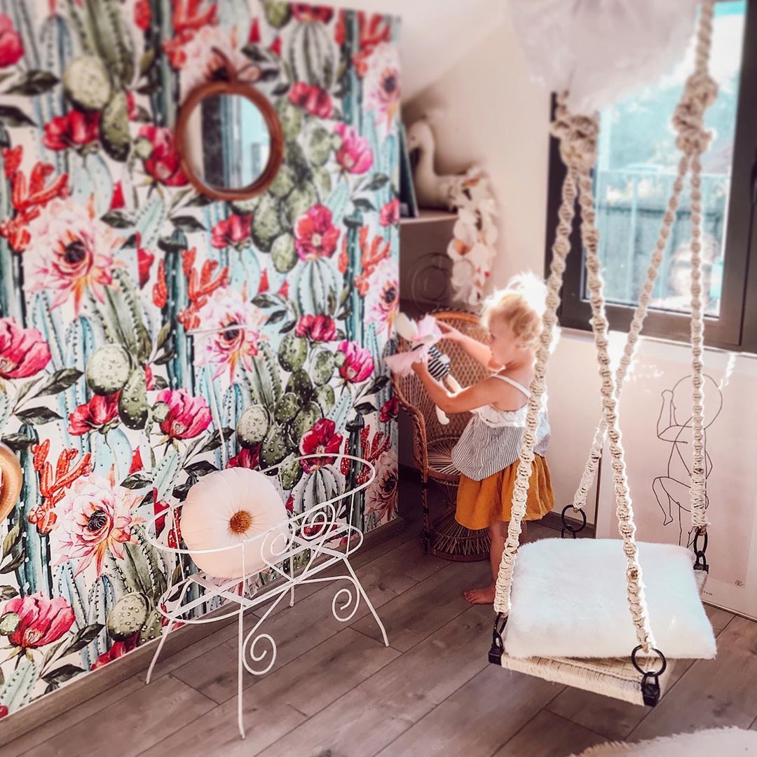 Gerbera - HD Wallpaper 