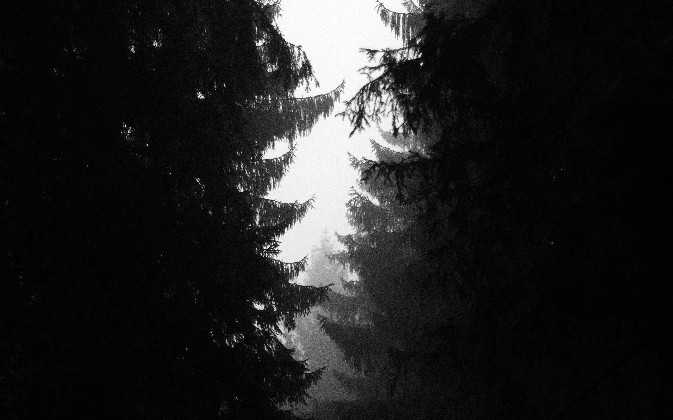 4k Wallpaper Iphone 7 - HD Wallpaper 