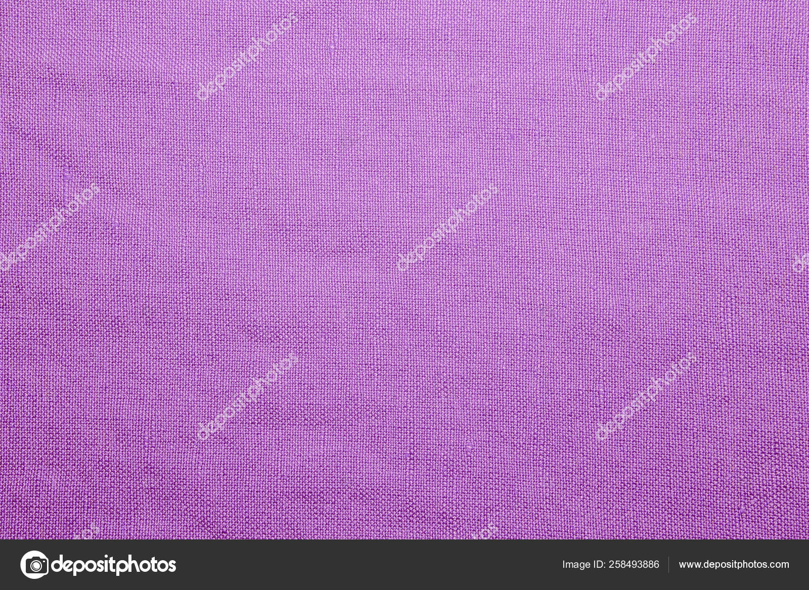 Lavender - HD Wallpaper 