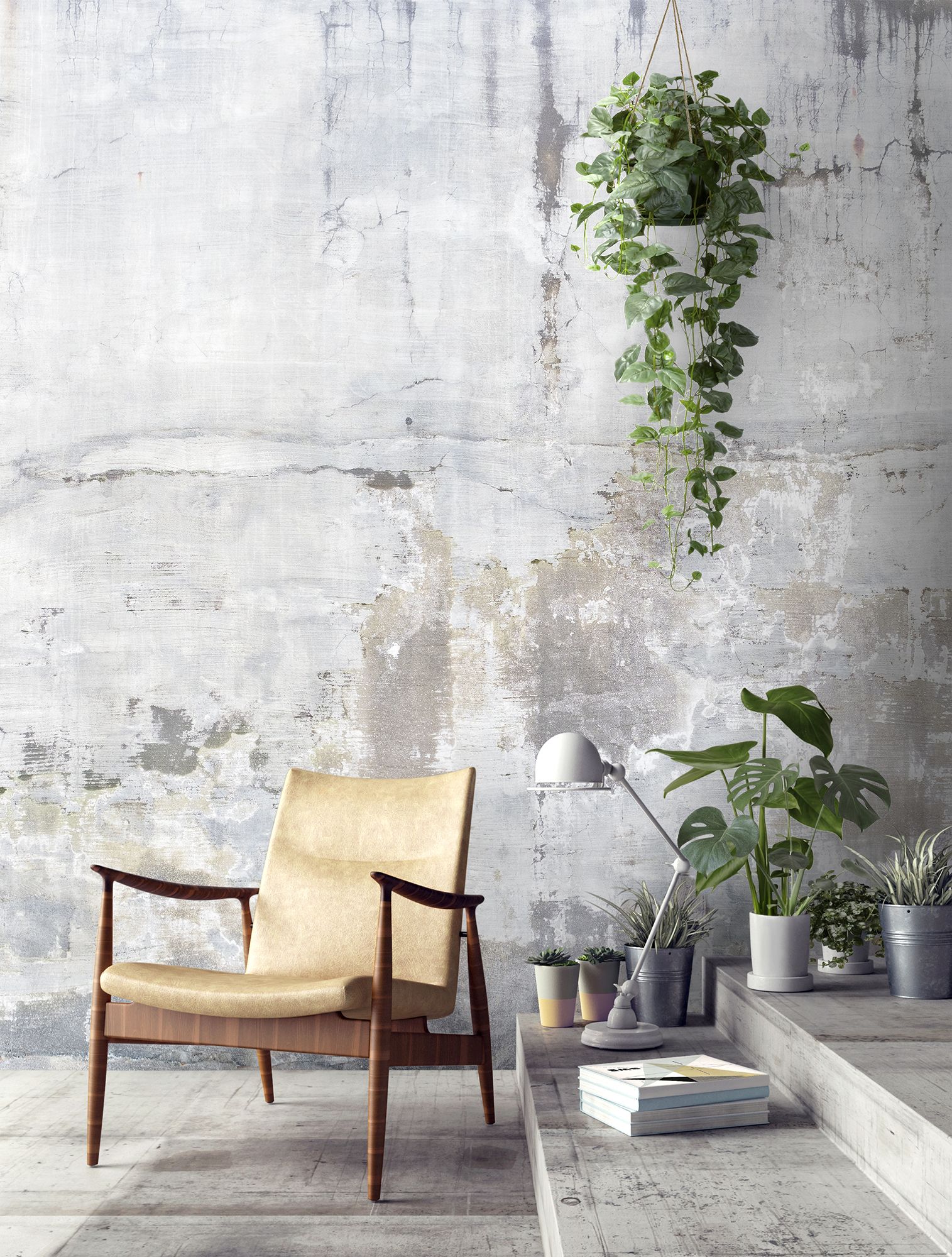 Plant And Concrete Interior - HD Wallpaper 