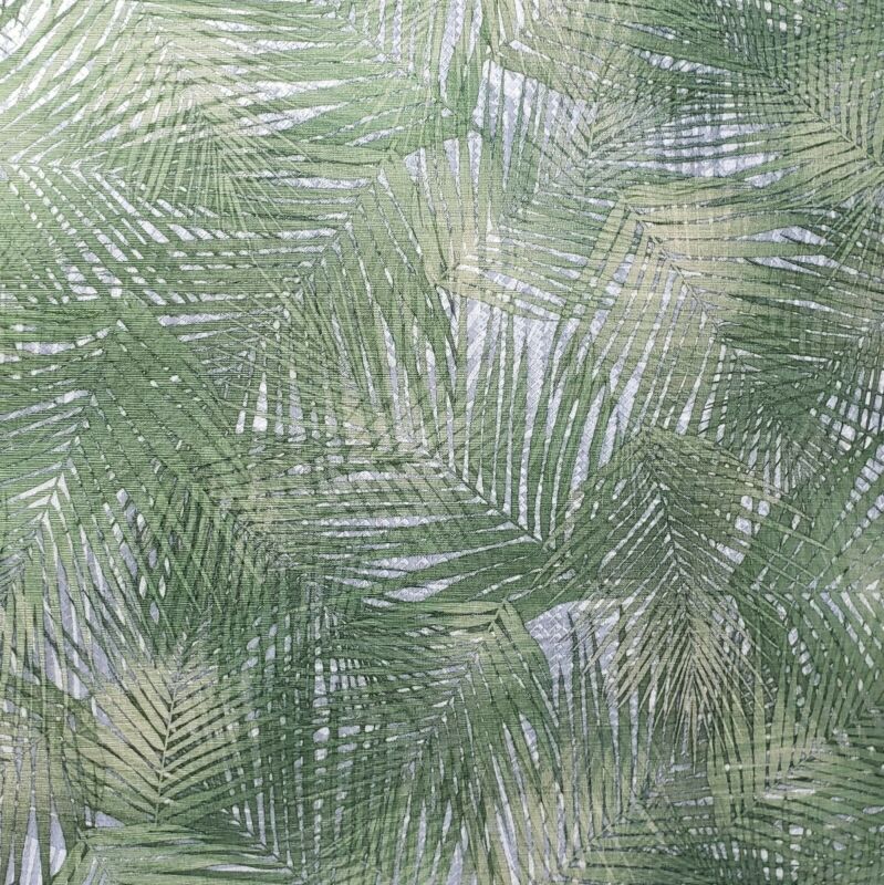 White Pine - HD Wallpaper 