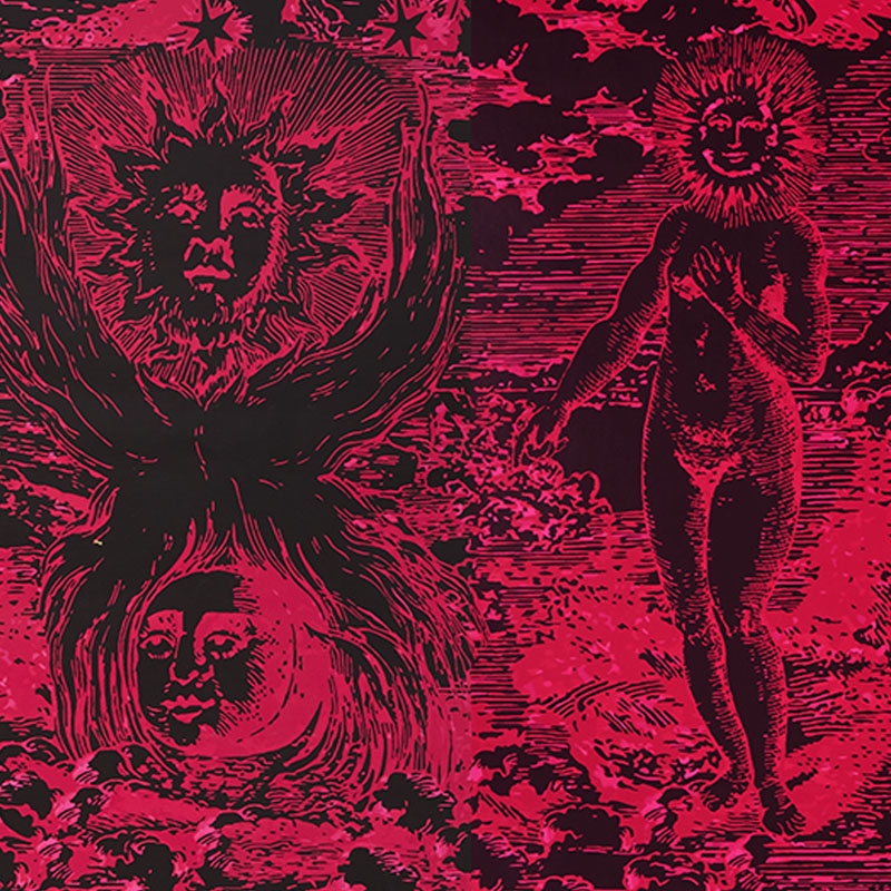 5010423 Modern Toile, Pink Black By Schumacher Wa - Visual Arts - HD Wallpaper 