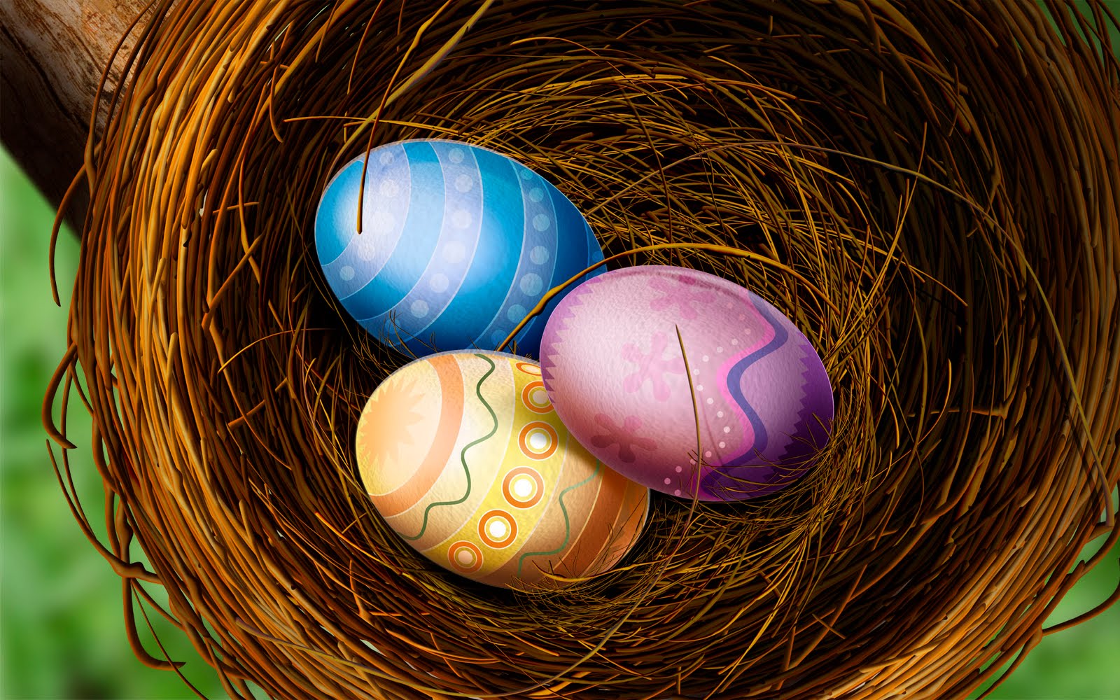 Bird Nest Wallpaper Hd - HD Wallpaper 