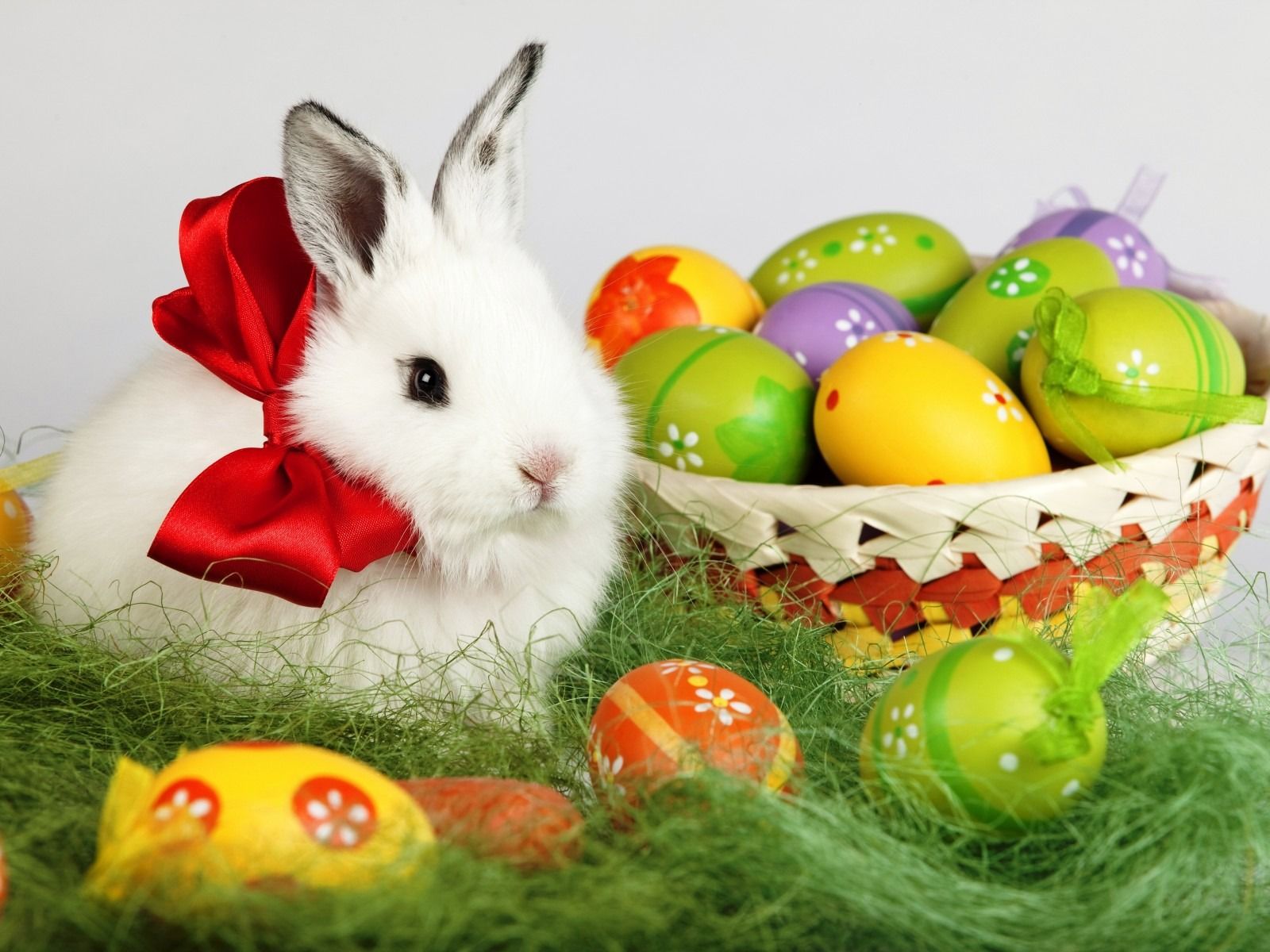 Cute Easter Wallpapers - Cute Bunny Easter Egg - HD Wallpaper 