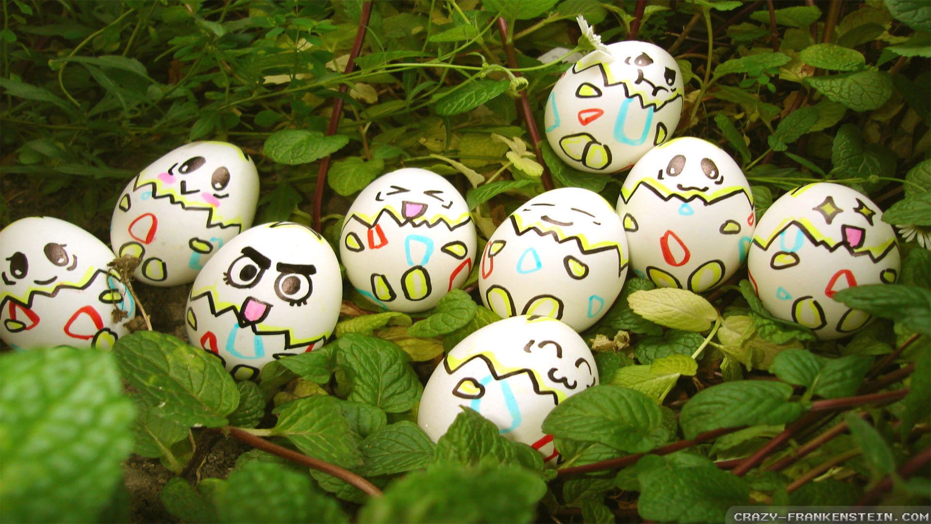 Awesome Free Easter Wallpaper Screensavers Feedost
 - Easter Funny - HD Wallpaper 