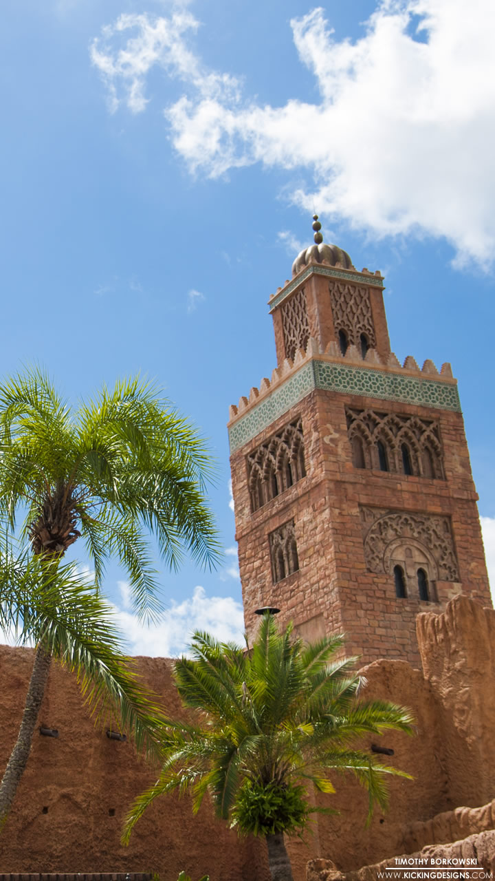 Attalea Speciosa - HD Wallpaper 