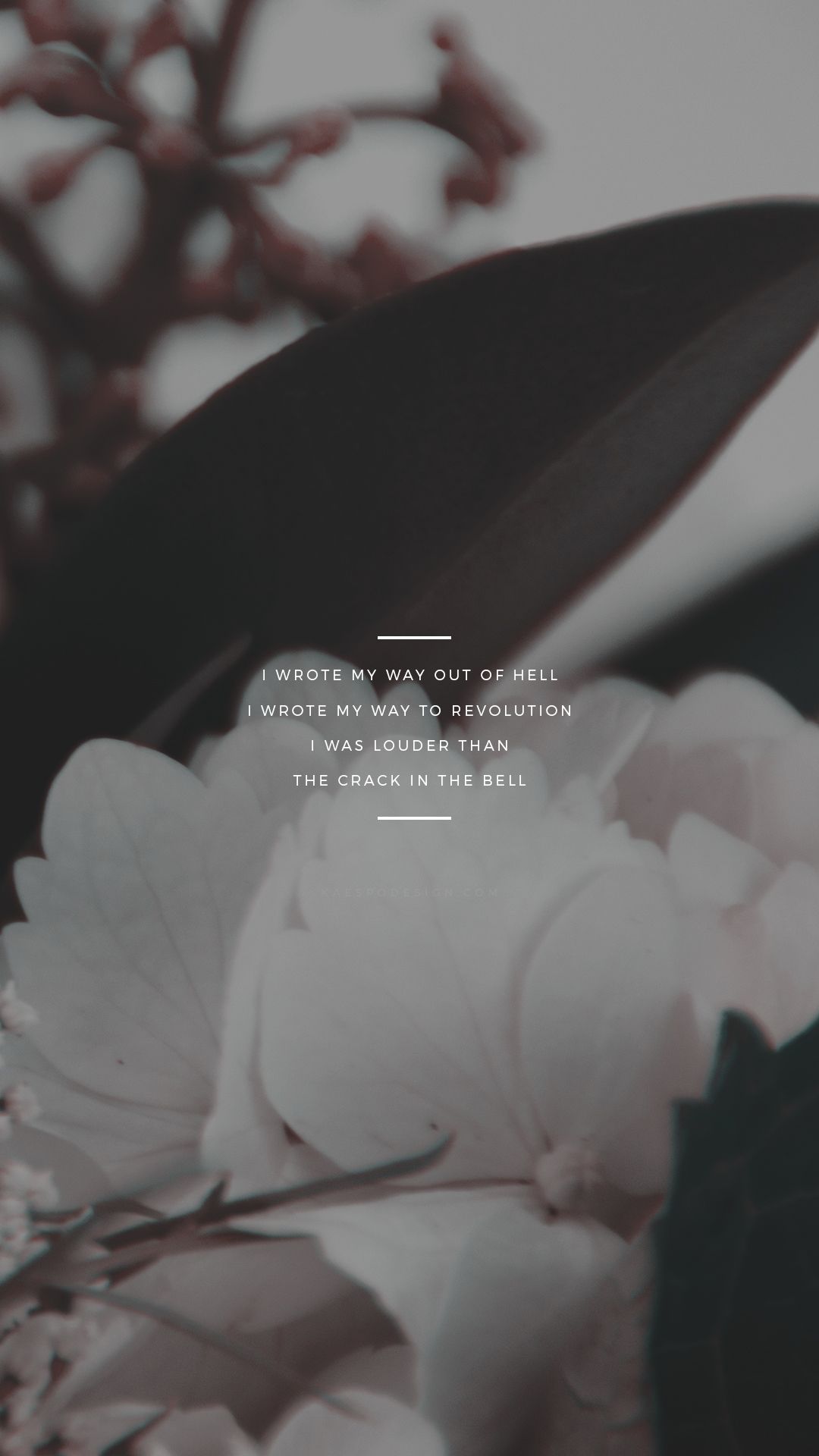 Flowers And Wallpaper Image - Hurricane Hamilton Quotes - HD Wallpaper 