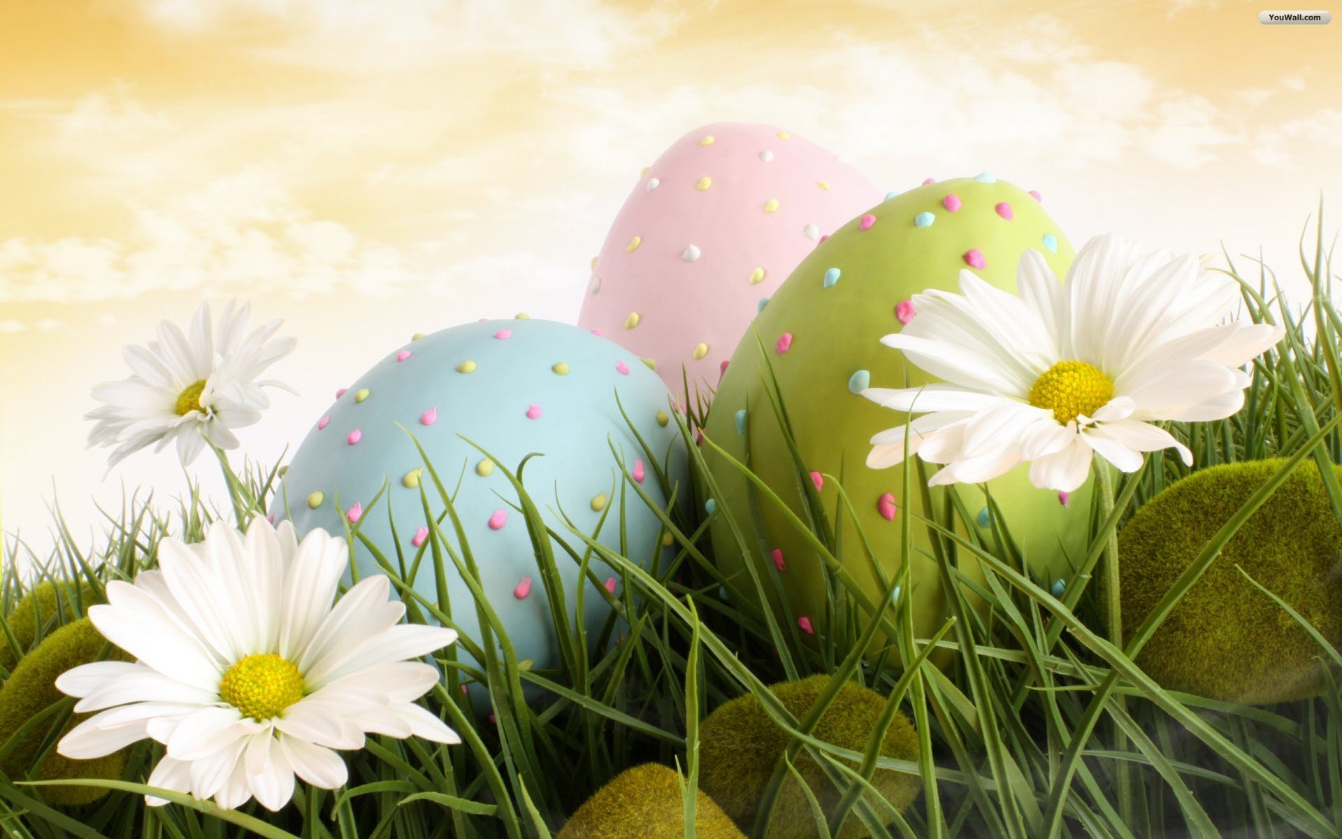 Easter Background - Spring Flowers And Easter Eggs - HD Wallpaper 