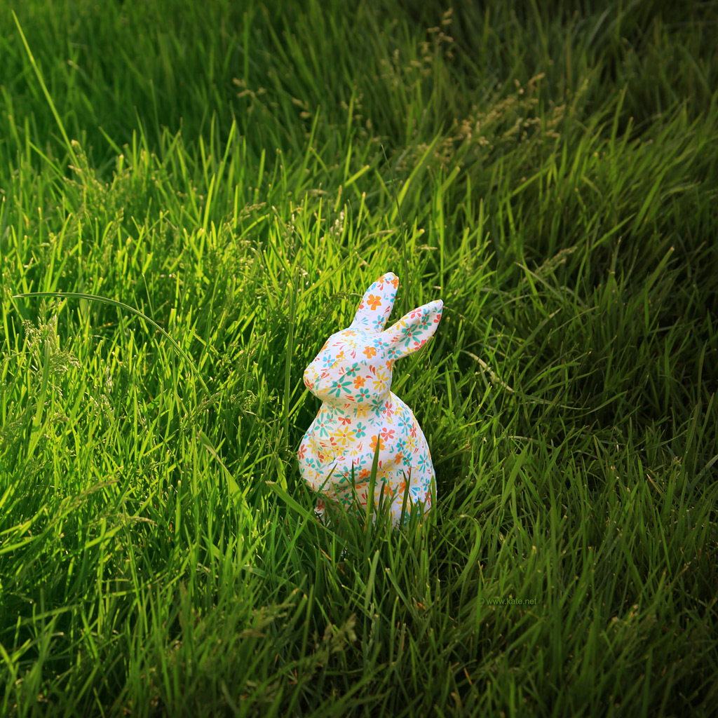 Easter - HD Wallpaper 