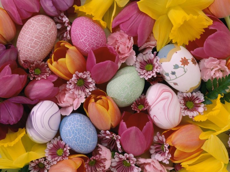 Floral Easter Screensaver - Beautiful Flowers Wallpaper Hd Free Download - HD Wallpaper 