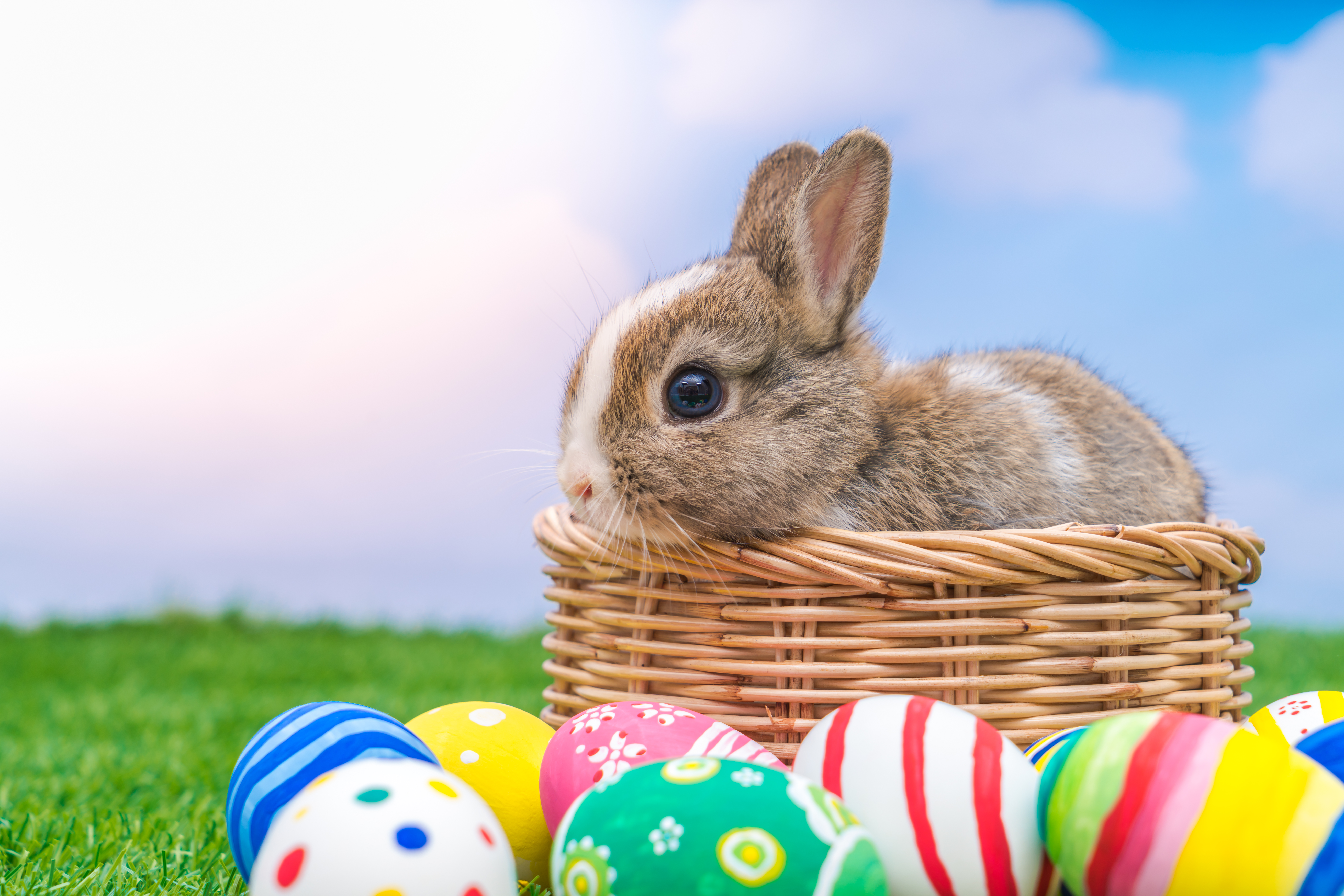 Easter - HD Wallpaper 