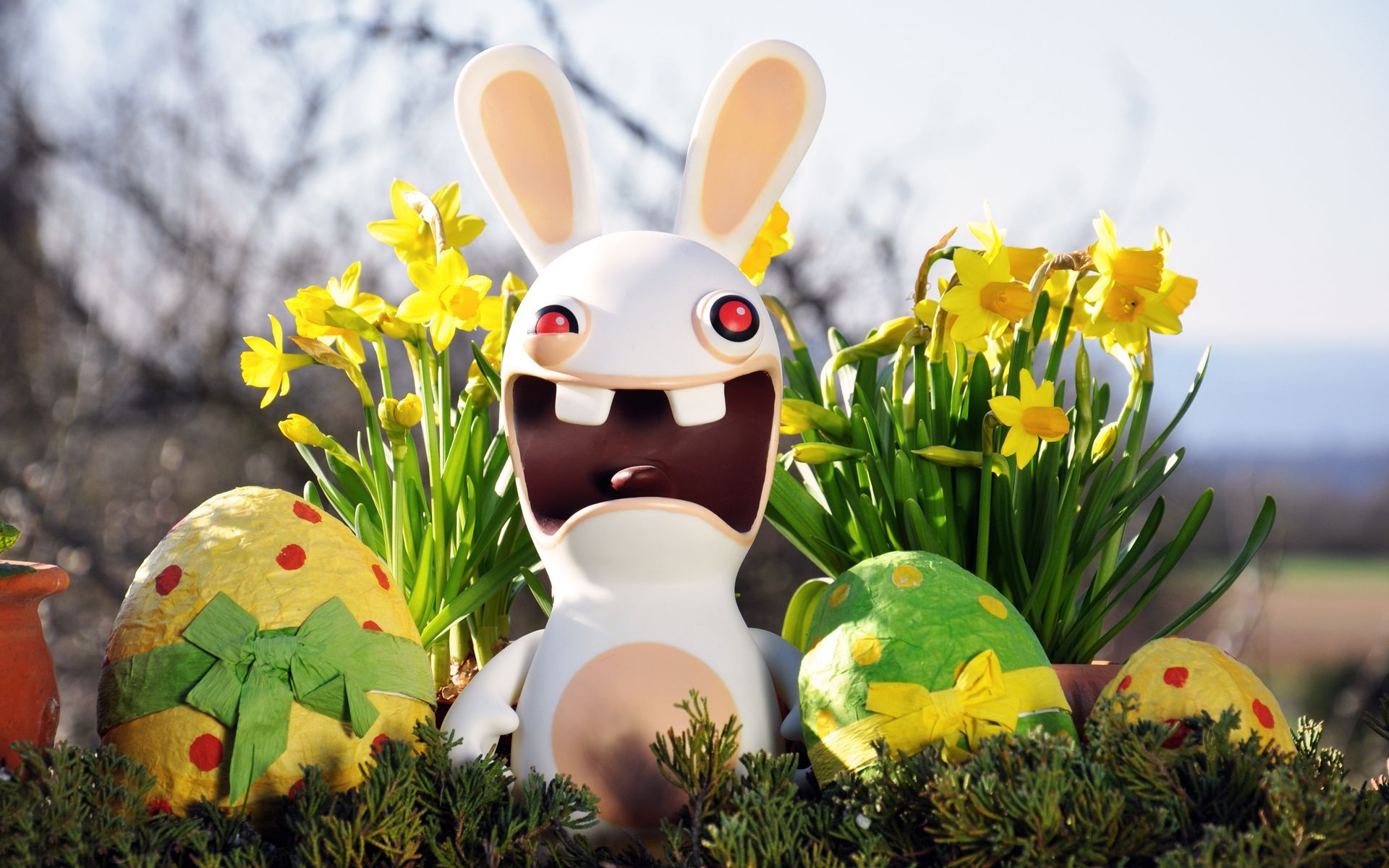 Funny Easter Wallpapers - HD Wallpaper 
