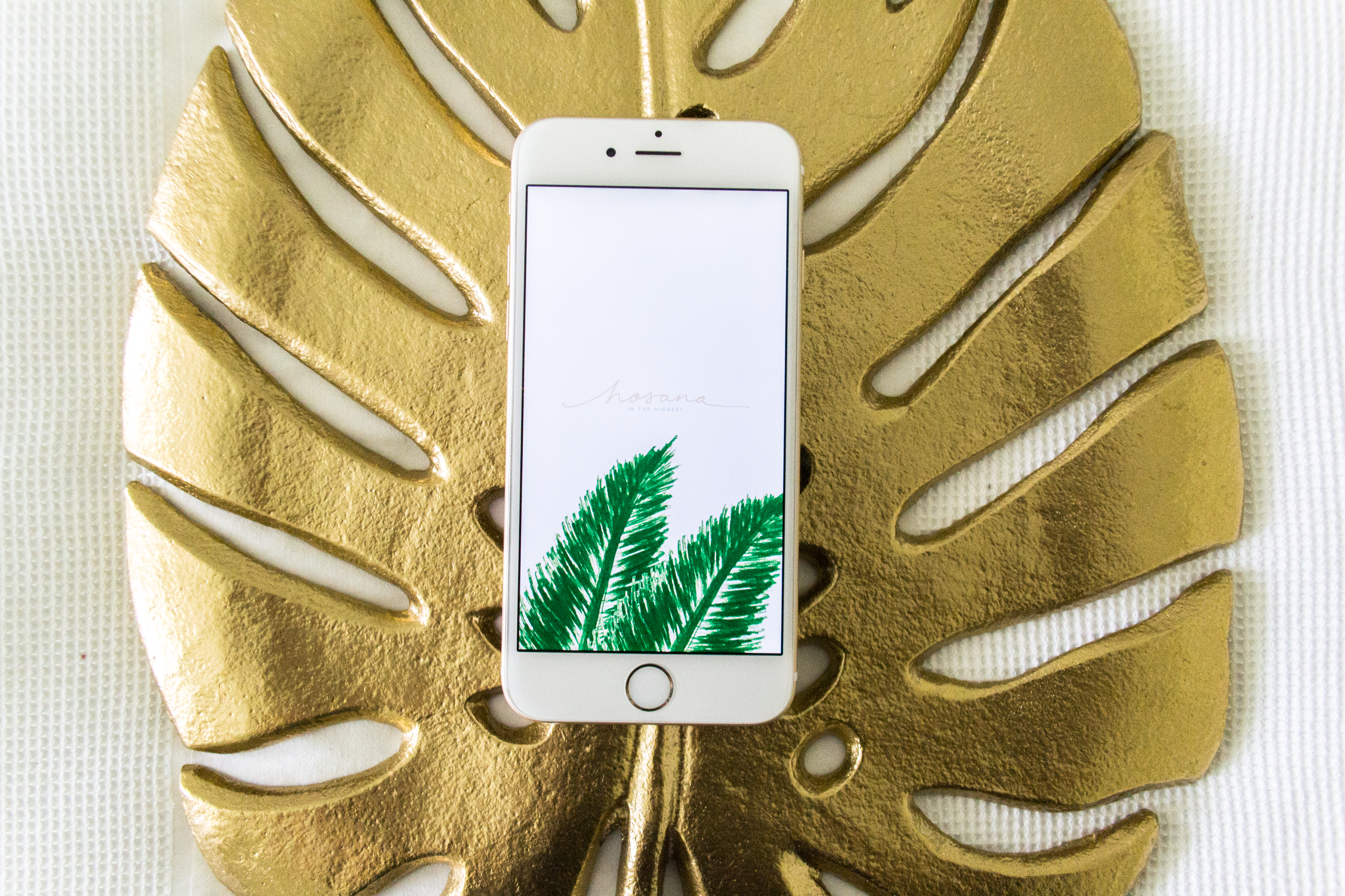 Styldbygrace Palmtreeleaves Easterwallpaper Image02 - Iphone - HD Wallpaper 