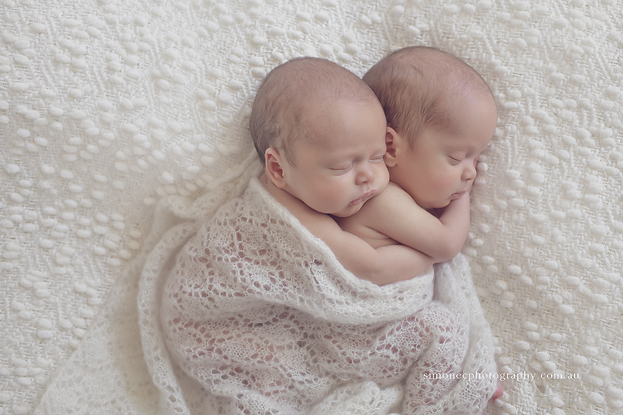 Brisbane Newborn Photographer, Brisbane Twin Baby Photographer - Cute Newborn Baby Twins - HD Wallpaper 