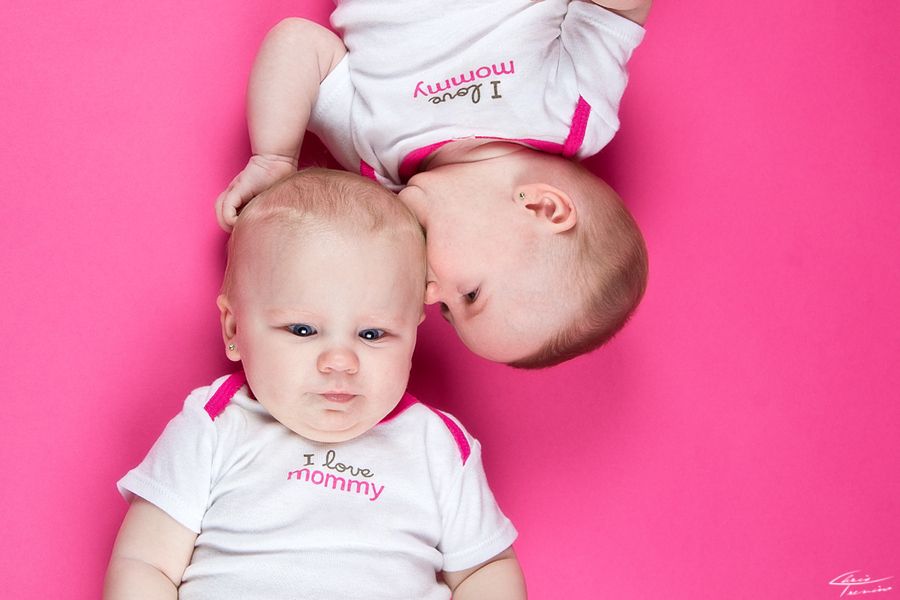 Bella Twins Hd Wallpapers Free Download Wwe Hd Wallpapers, - Twins Biting Baby - HD Wallpaper 