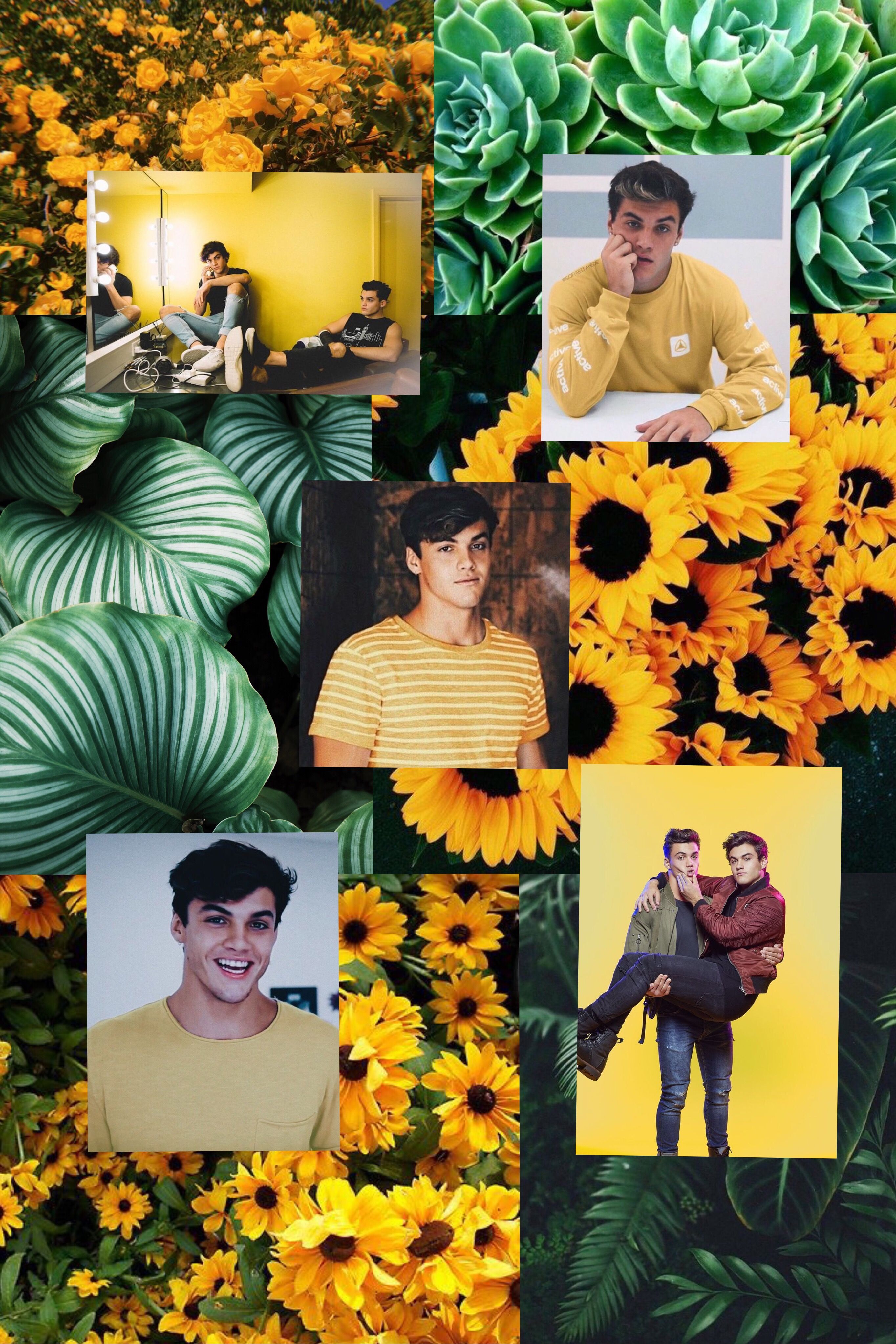 Aesthetic Yellow Dolan Twins - HD Wallpaper 