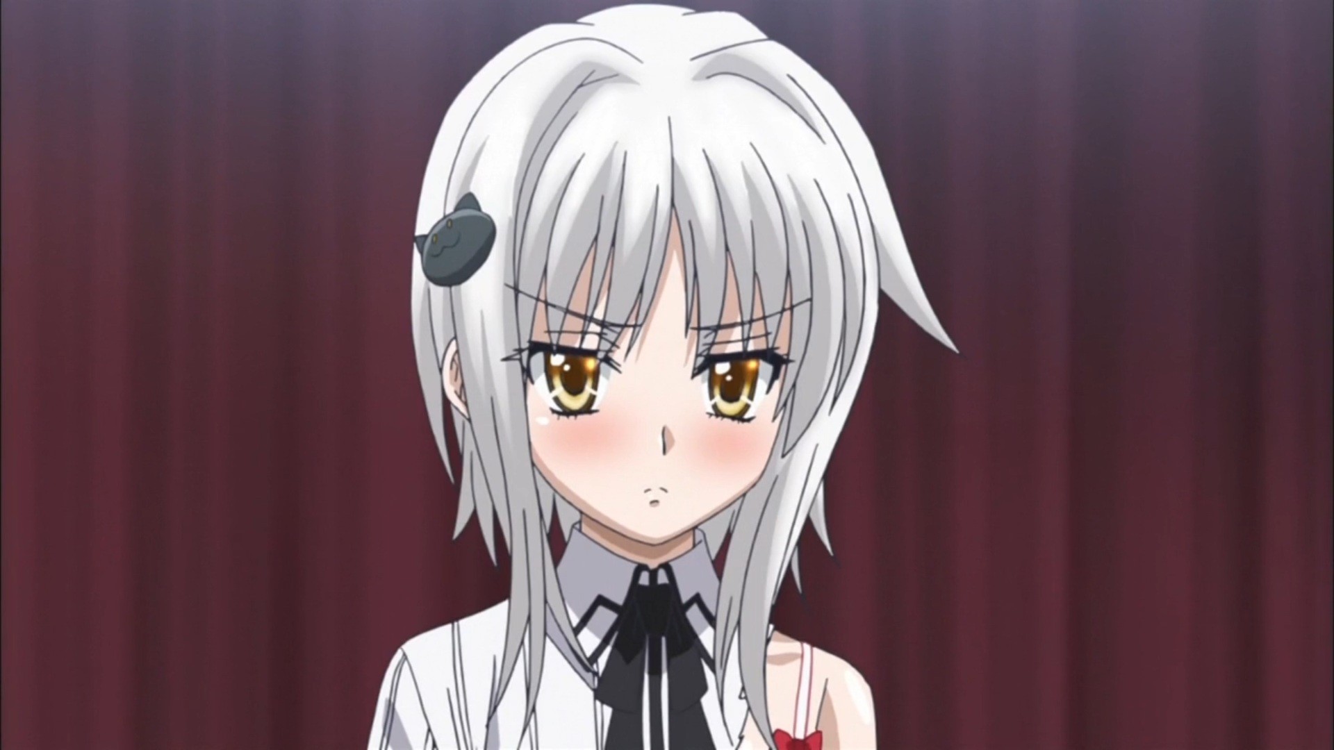 Highschool Dxd Wallpaper - Koneko Highschool Dxd Age - HD Wallpaper 