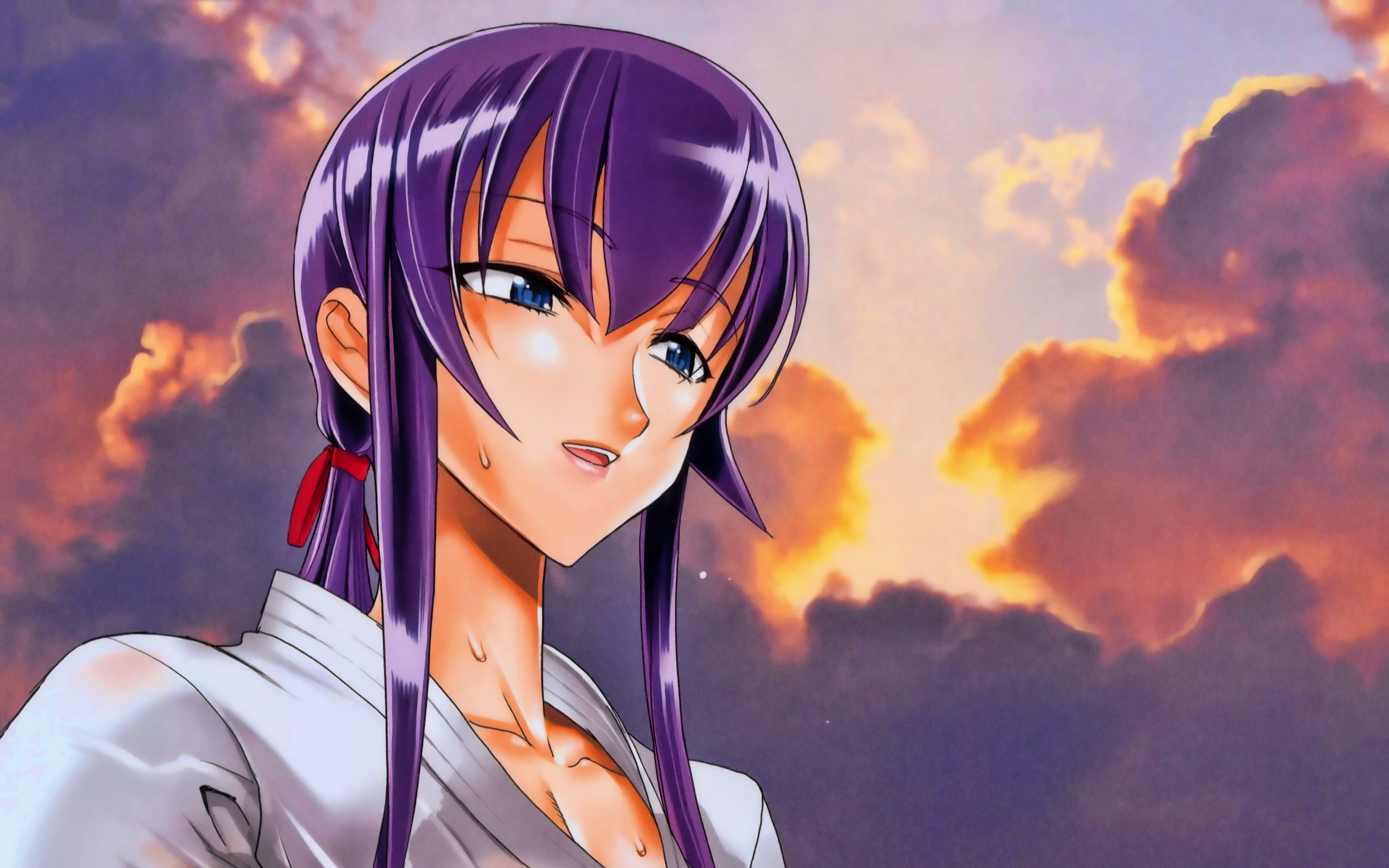 4k, Saeko Busujima, Sky, Highschool Of The Dead, Sunset, - Saeko Busujima Render - HD Wallpaper 