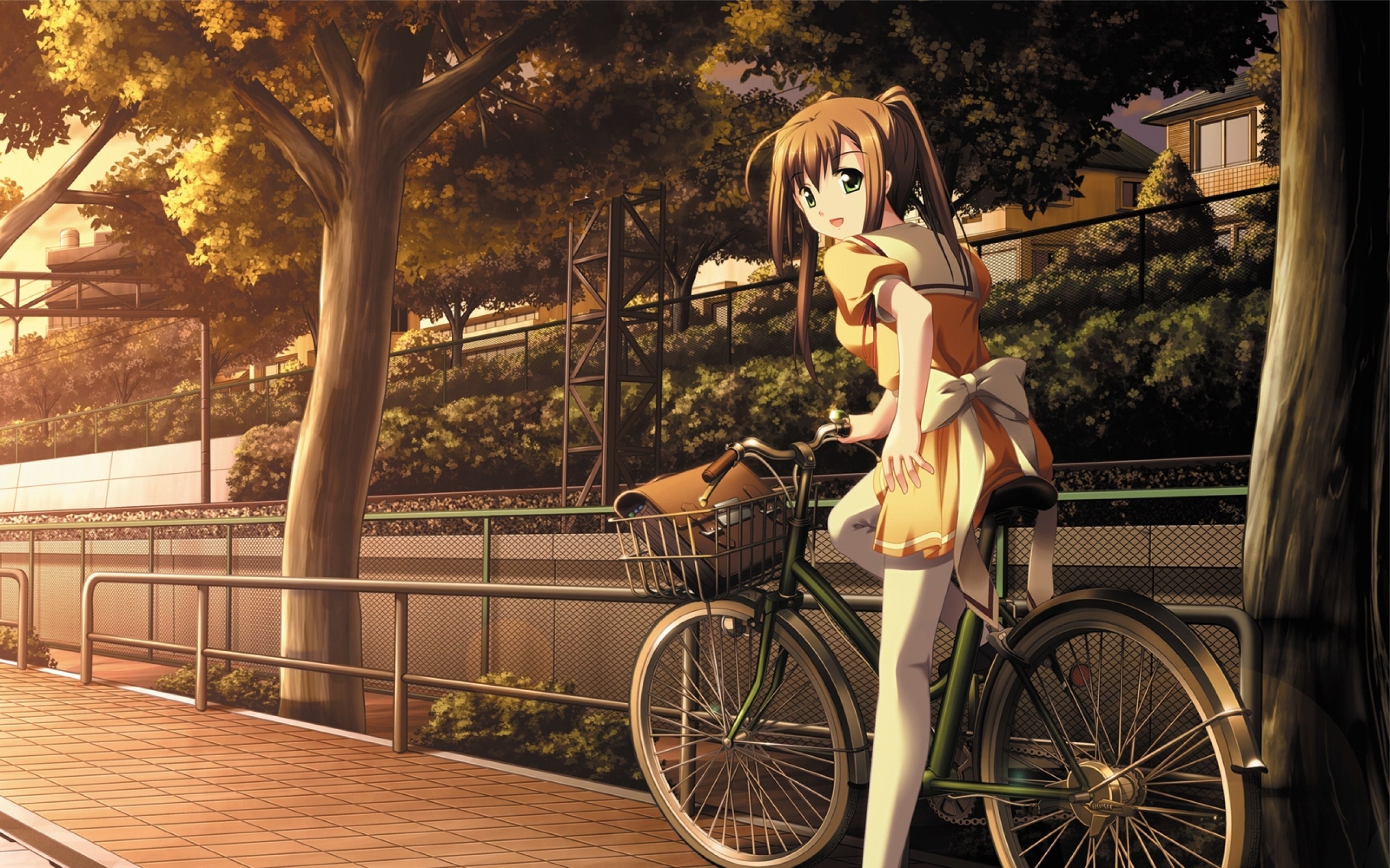 Anime Girl With Cycle - HD Wallpaper 