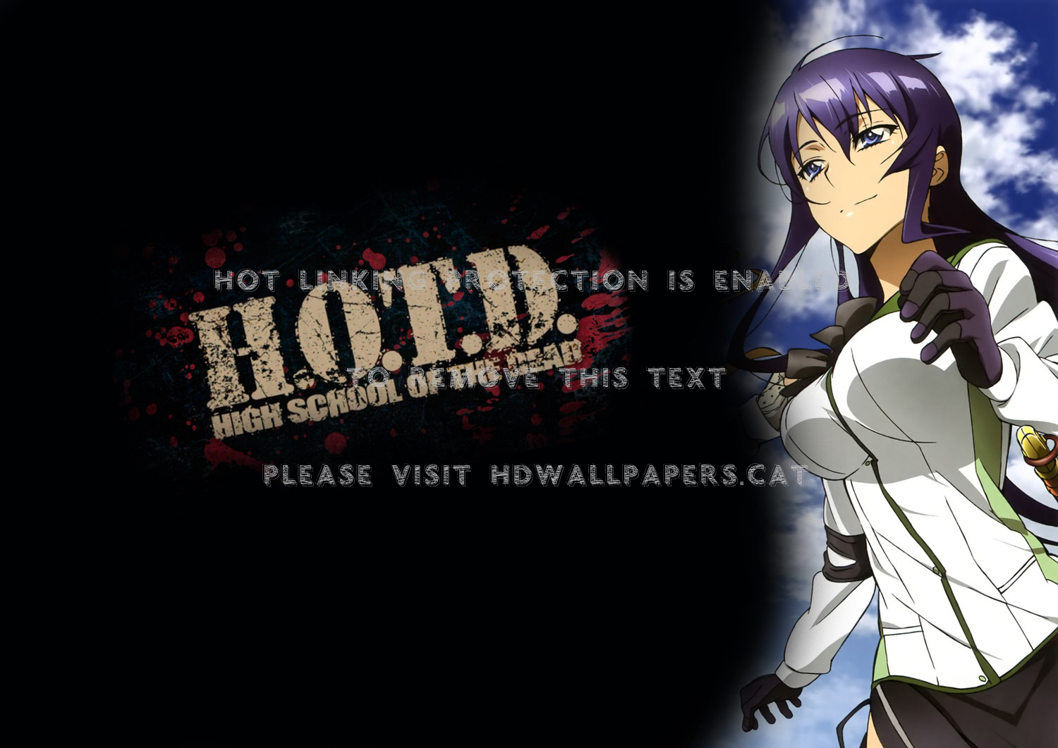 Saeko Busujima-highschool Of The Dead Black - Highschool Of The Dead - HD Wallpaper 