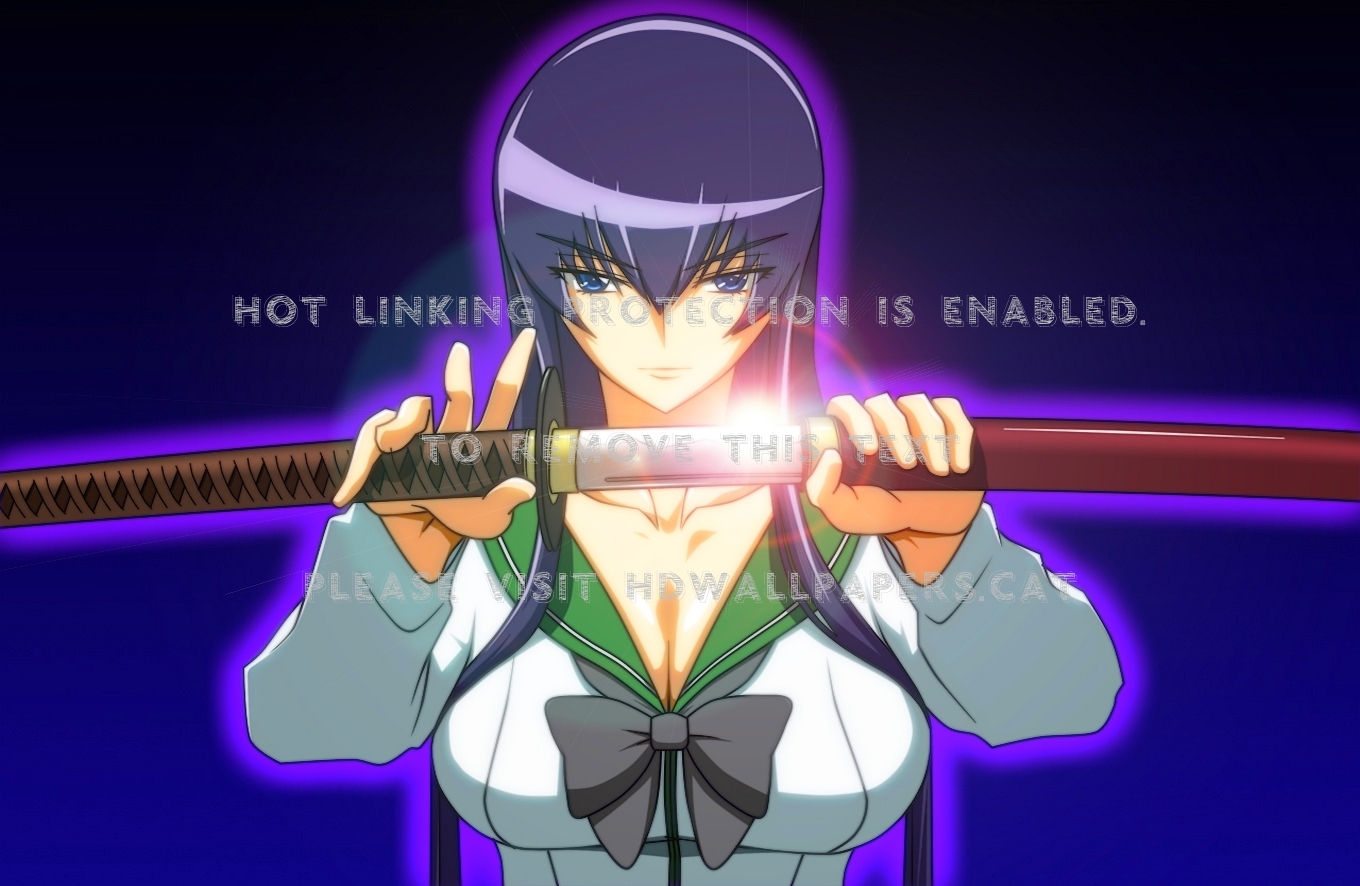 High School Of The Dead Saeko Busujima - Saeko Busujima Insane - HD Wallpaper 