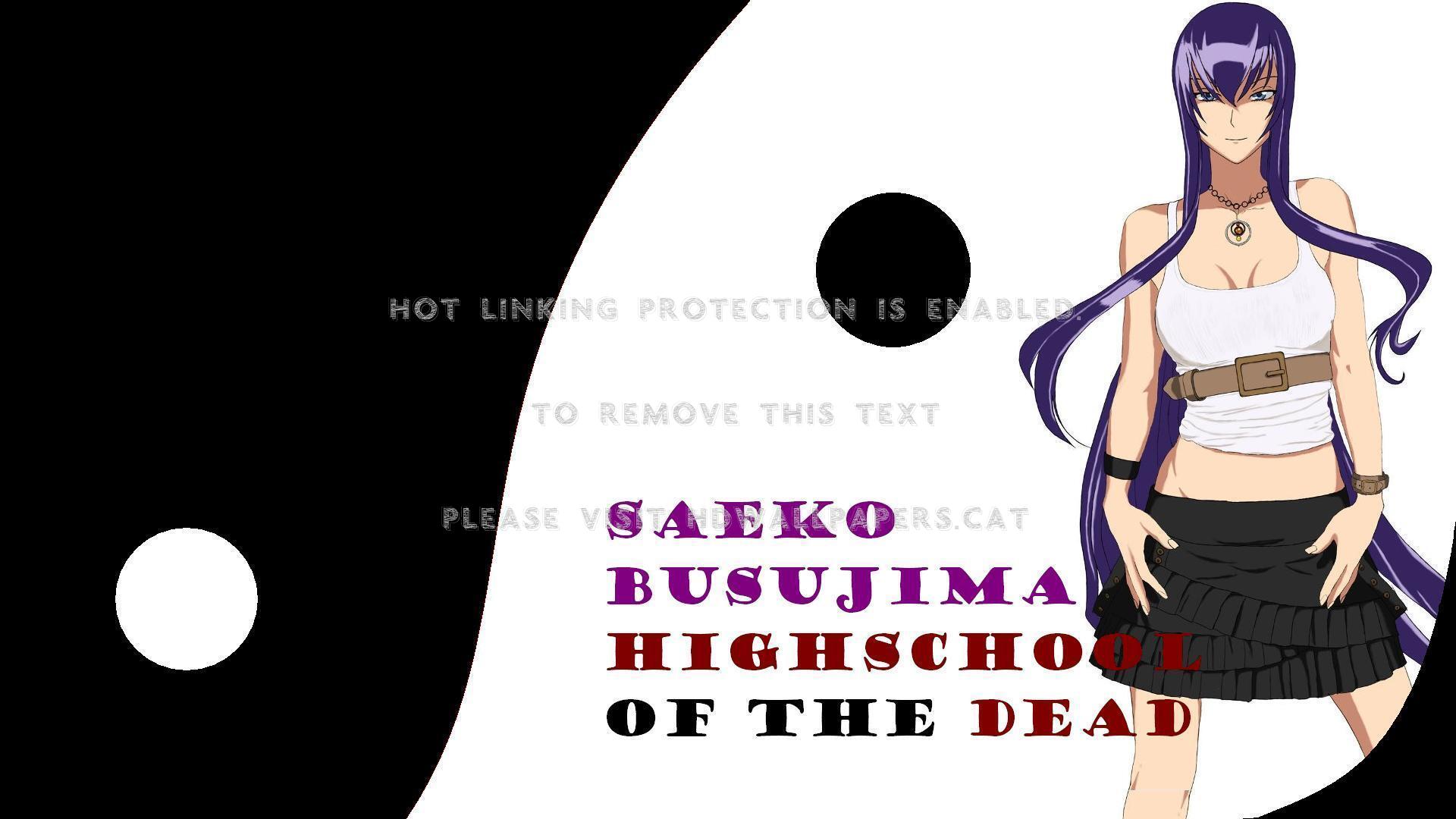 Saeko Busujima Highschool Of The Dead Anime - Anime - HD Wallpaper 