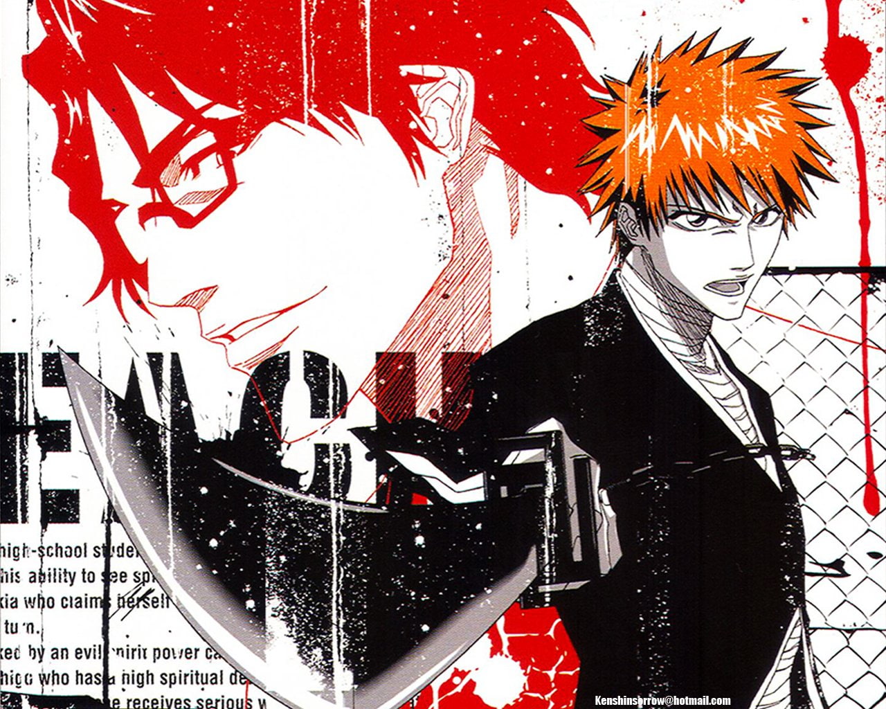 Bleach - HD Wallpaper 