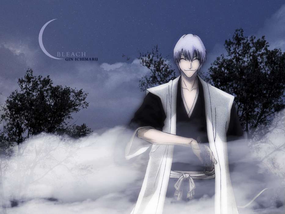 Download Mobile Wallpaper Anime, Men, Bleach For Free - Bleach Ichimaru Gin Bankai - HD Wallpaper 