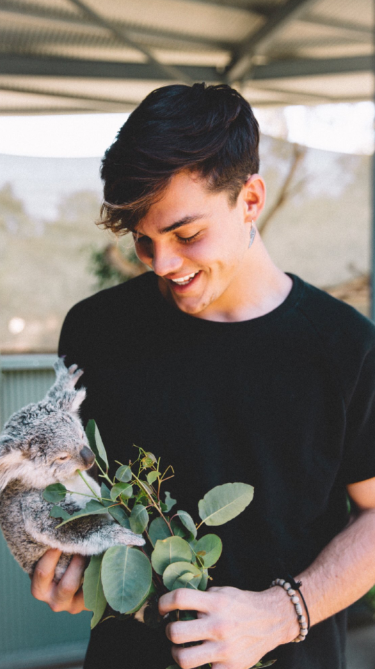 Grayson Dolan With Koala - HD Wallpaper 