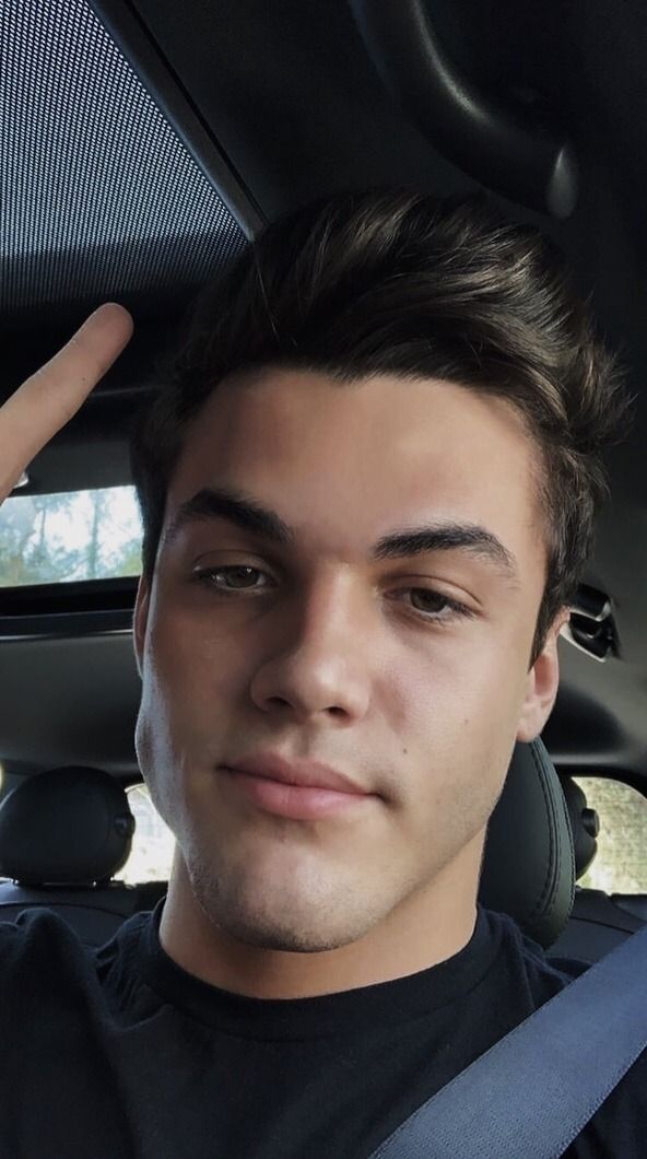 Gray Dolan Cute - HD Wallpaper 