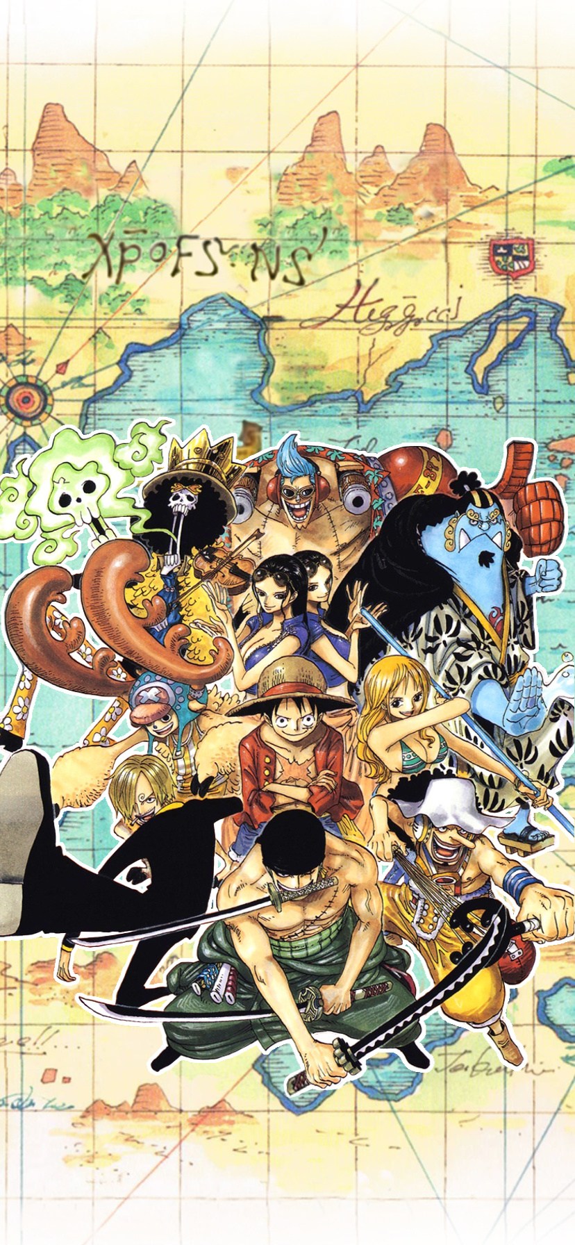 Whole Straw Hat Crew - HD Wallpaper 